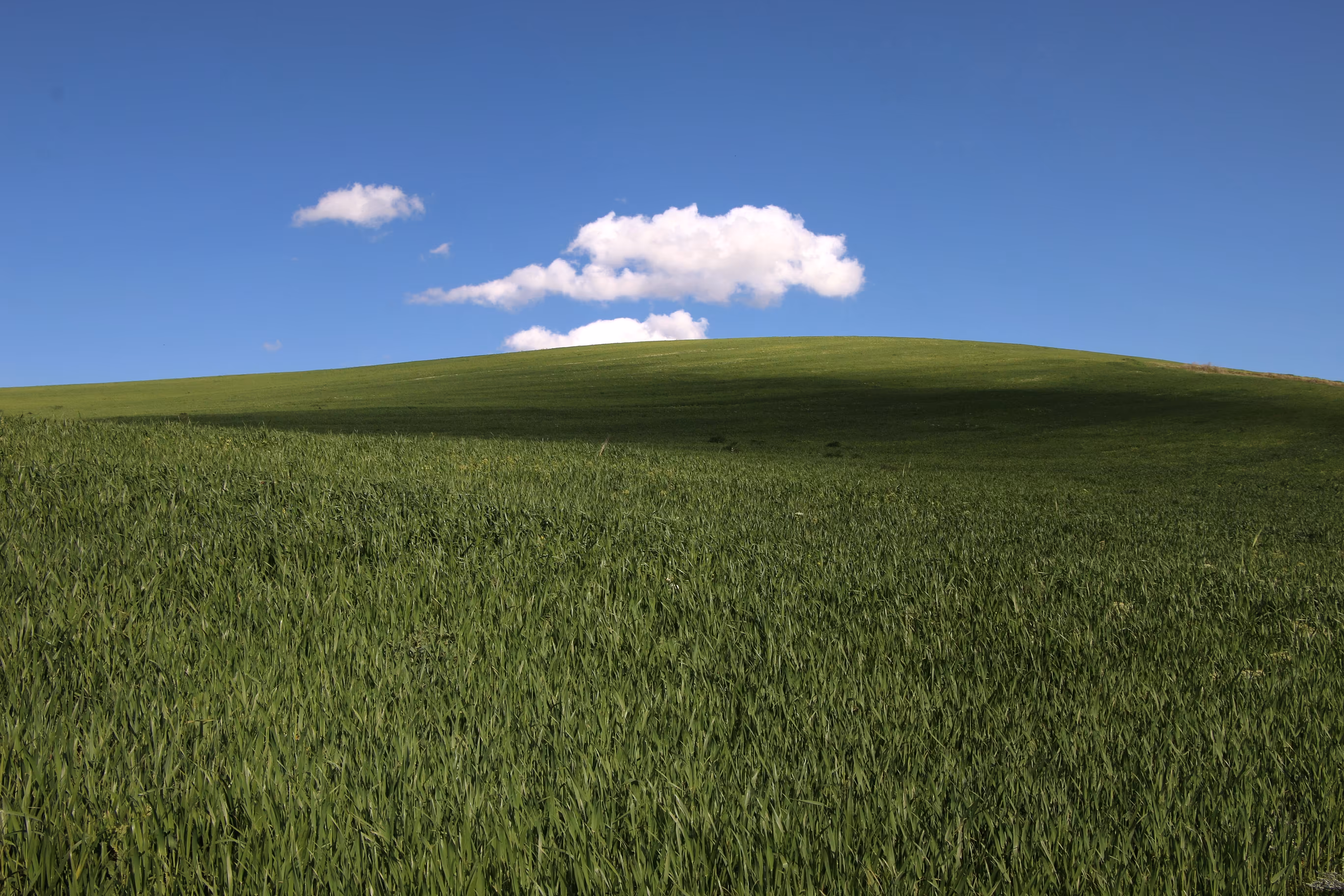 Spring