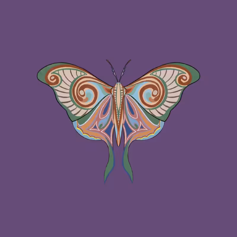 The Moth Experiment 2.0 P2 #6