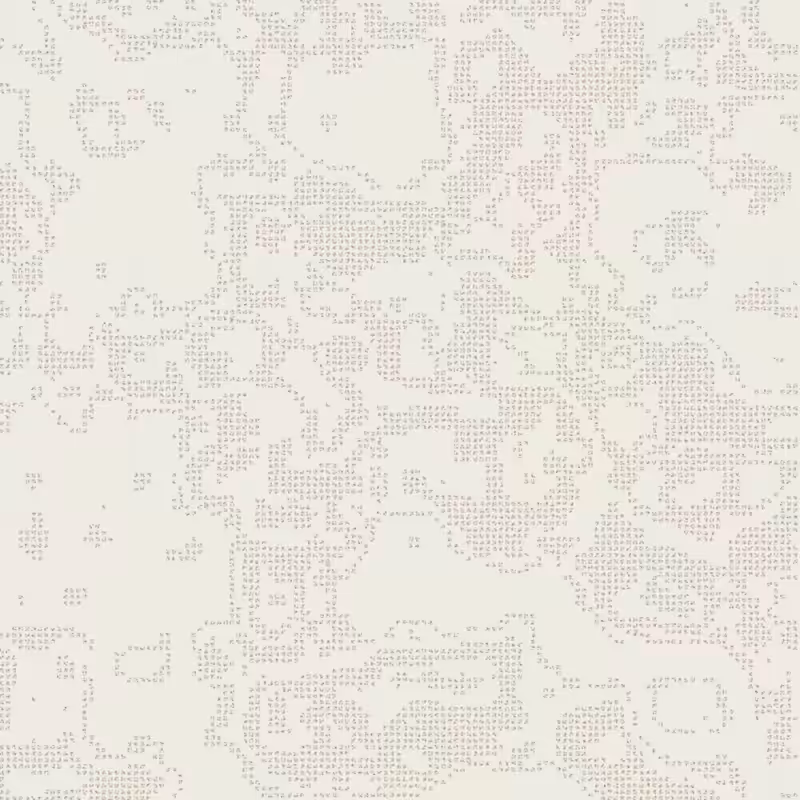Petri 1500 #447