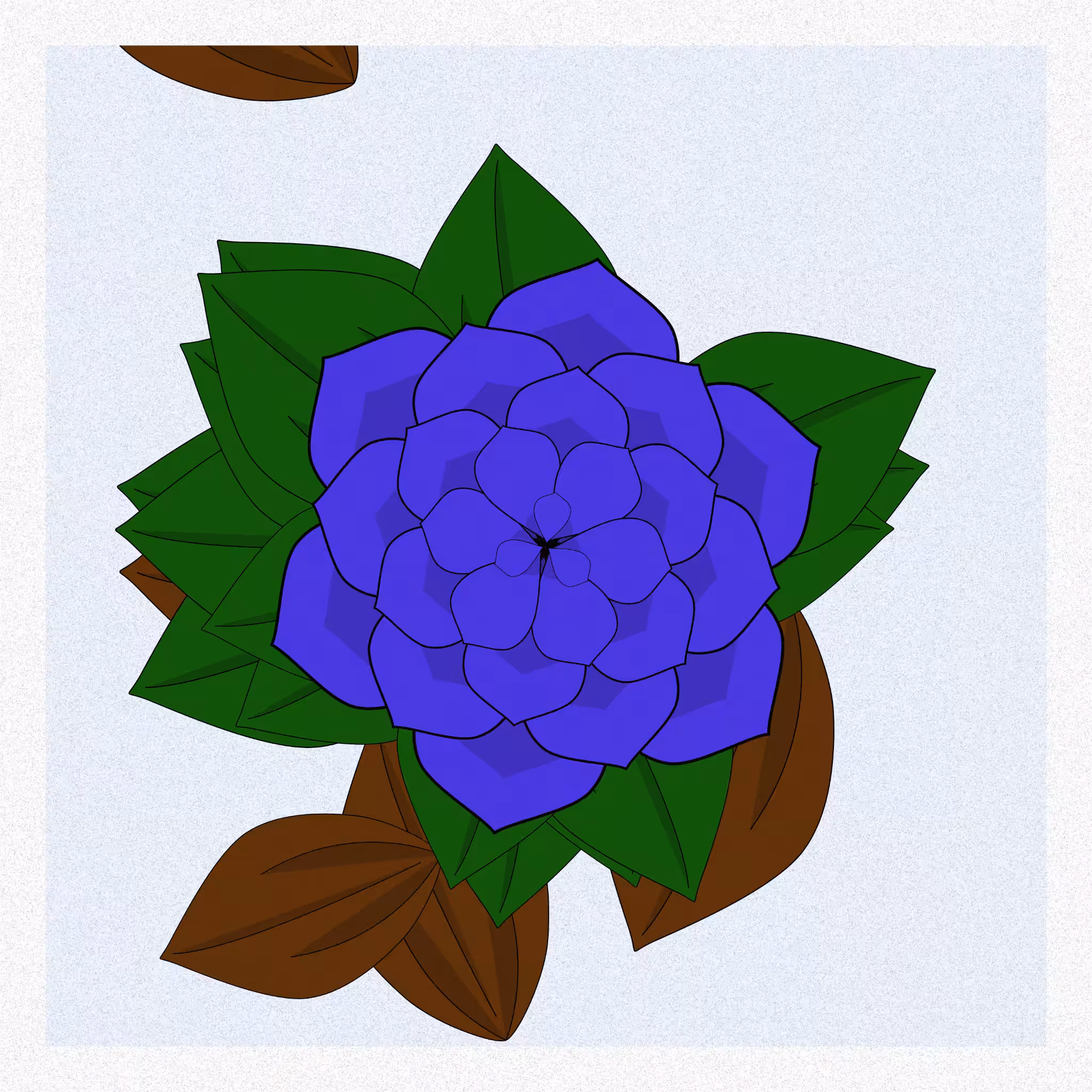 Flowers #55