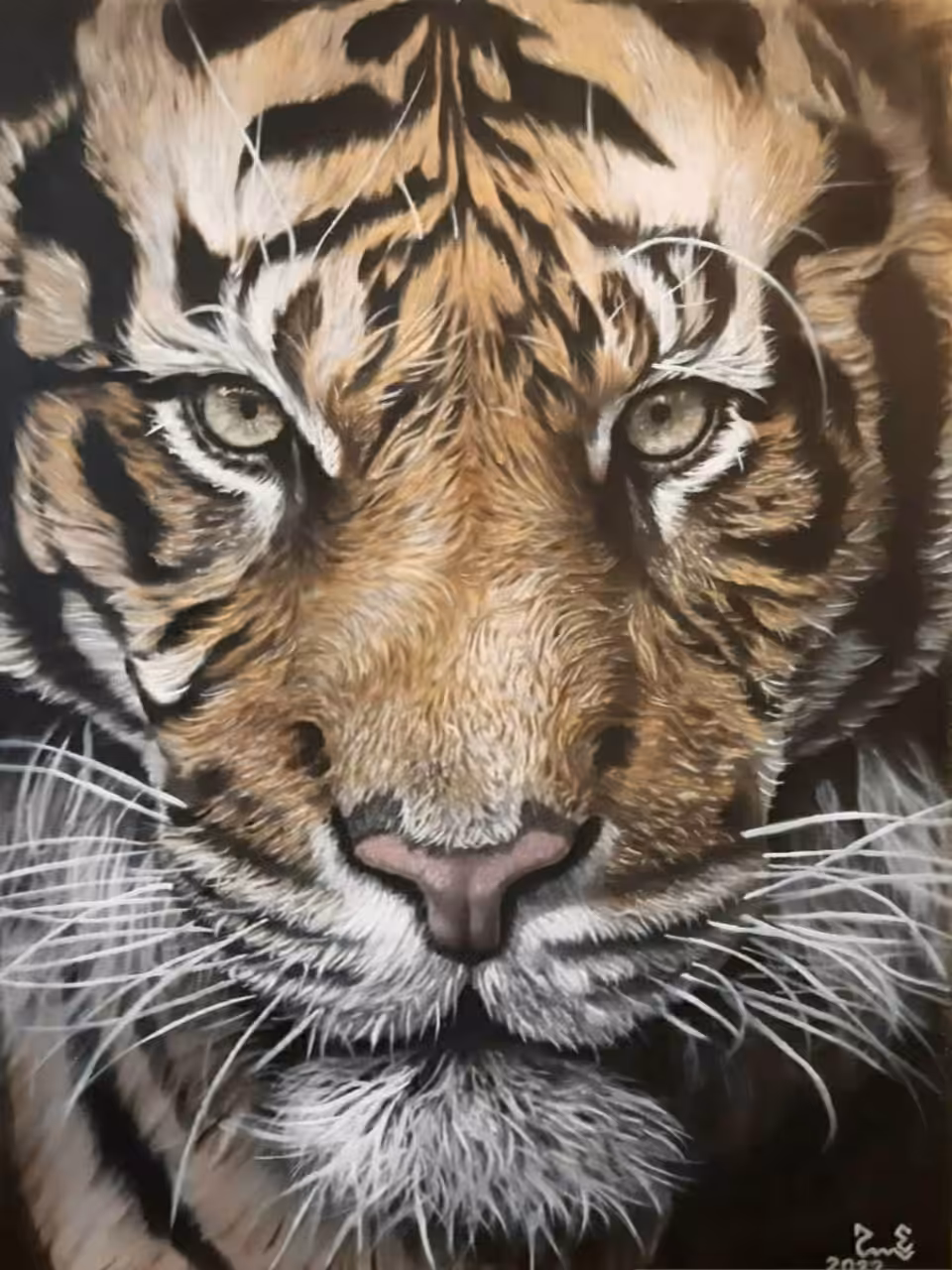 Tiger Focus