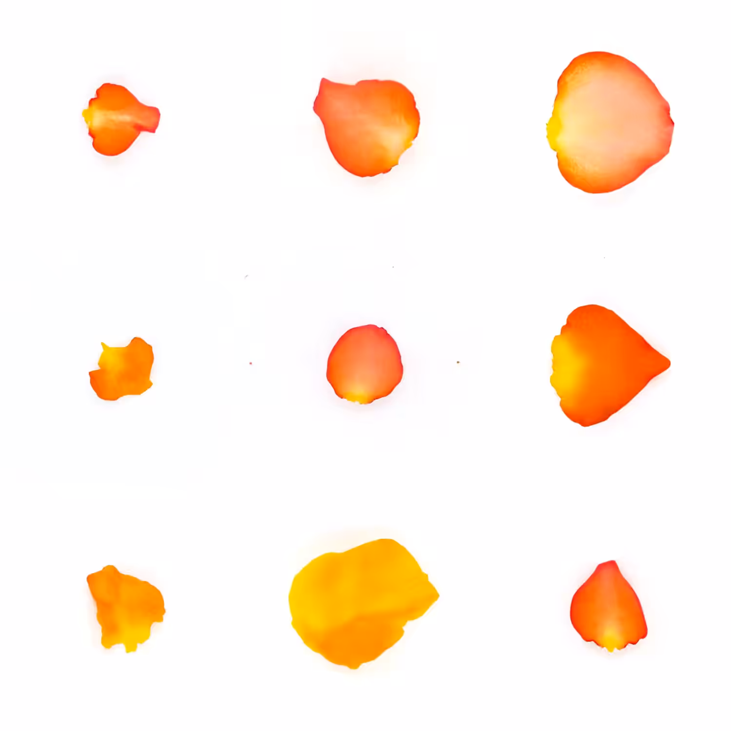 Infinite Petals 3x3#20650