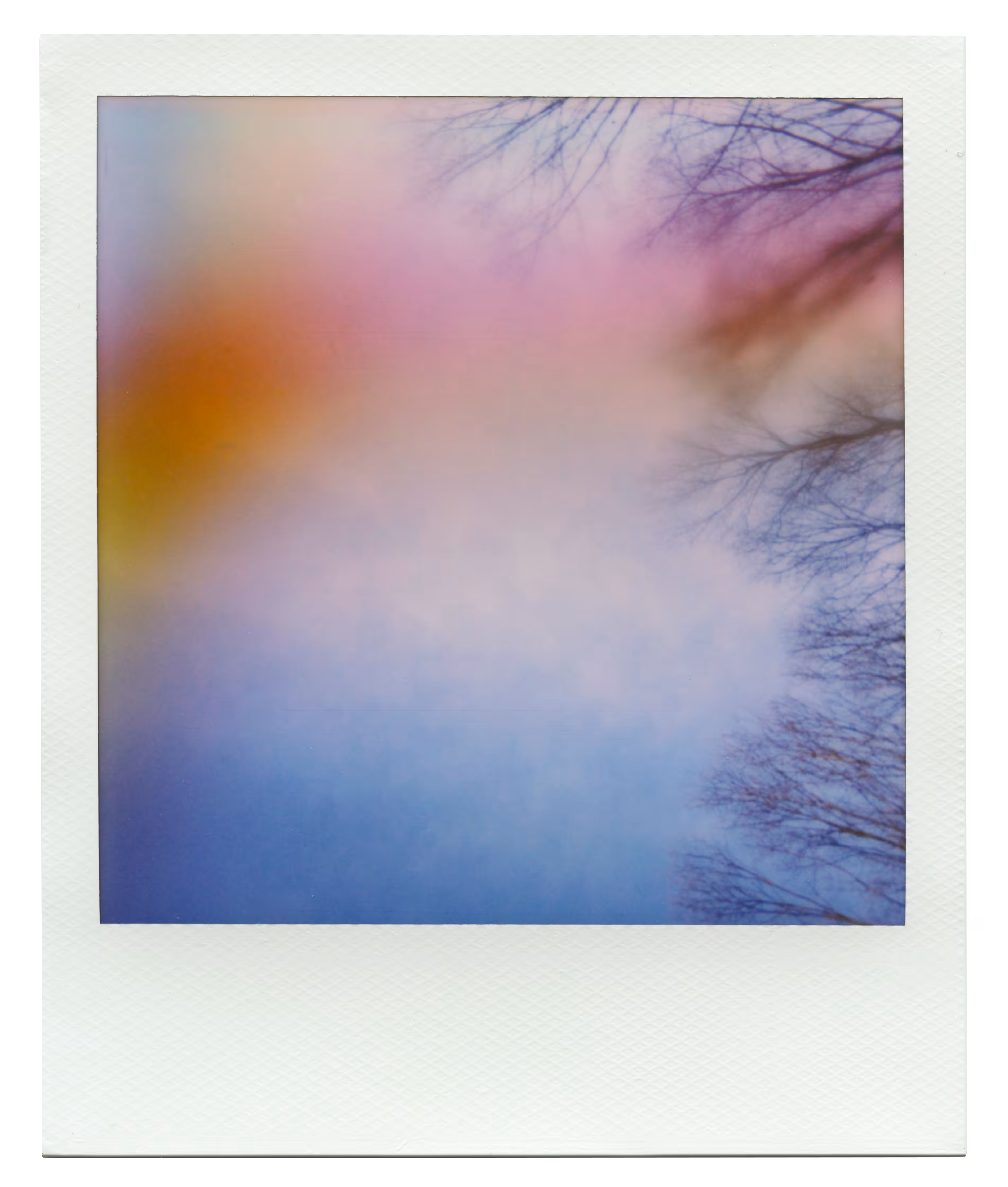 Manifestation