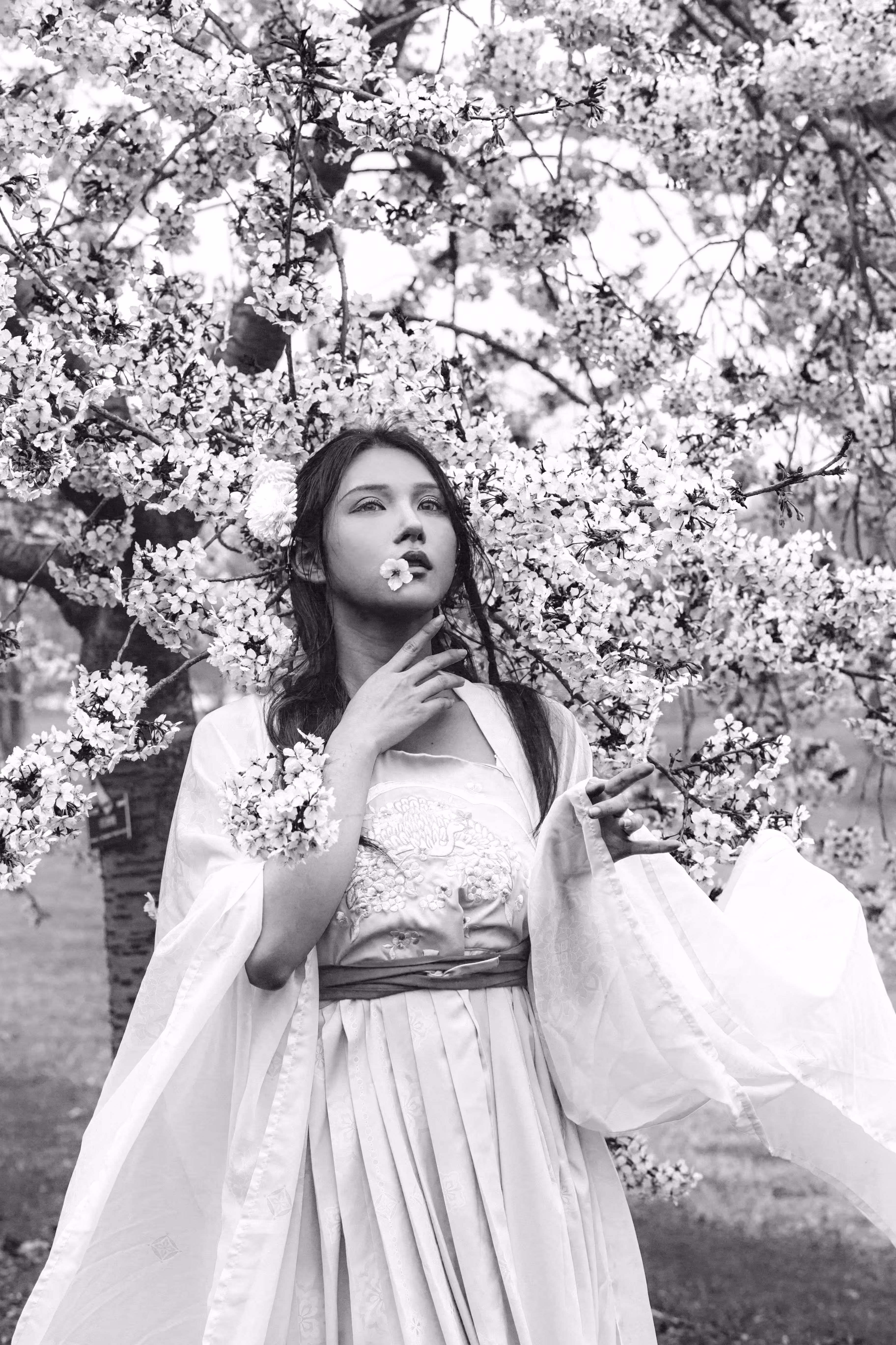 girl in traditional costume #2
