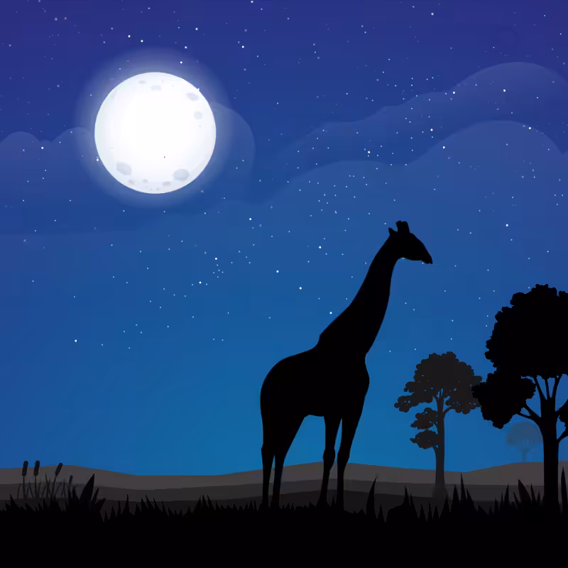 We Care... Giraffe #3