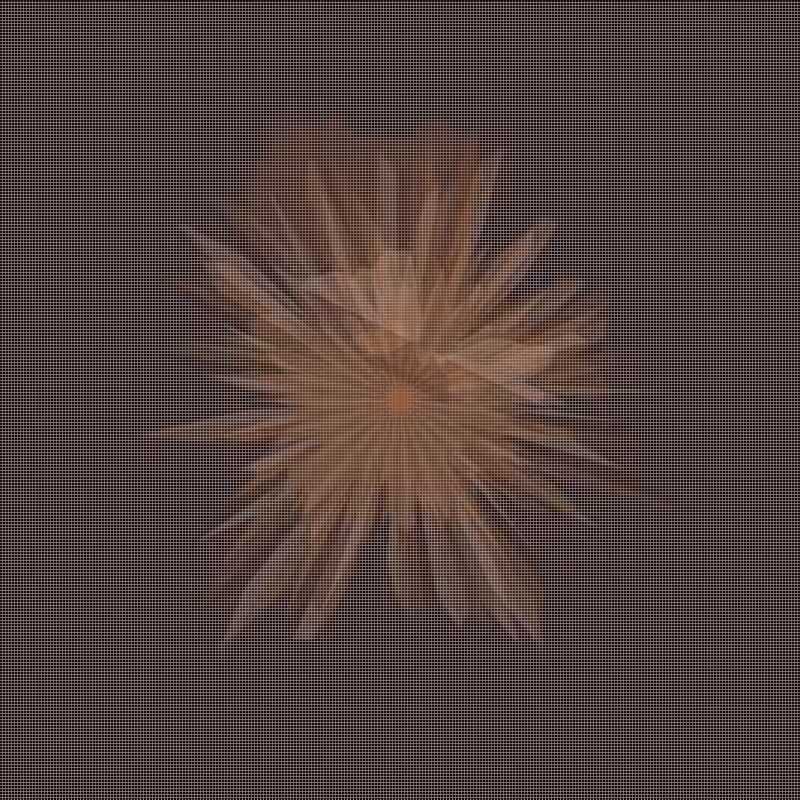 polygonal rewarp #23