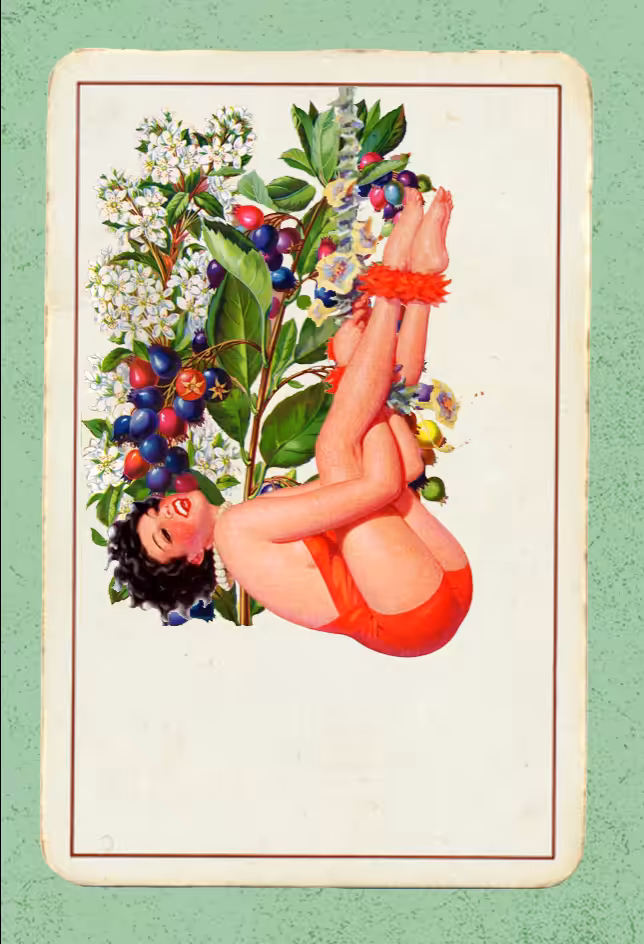 Paper Pinups #39