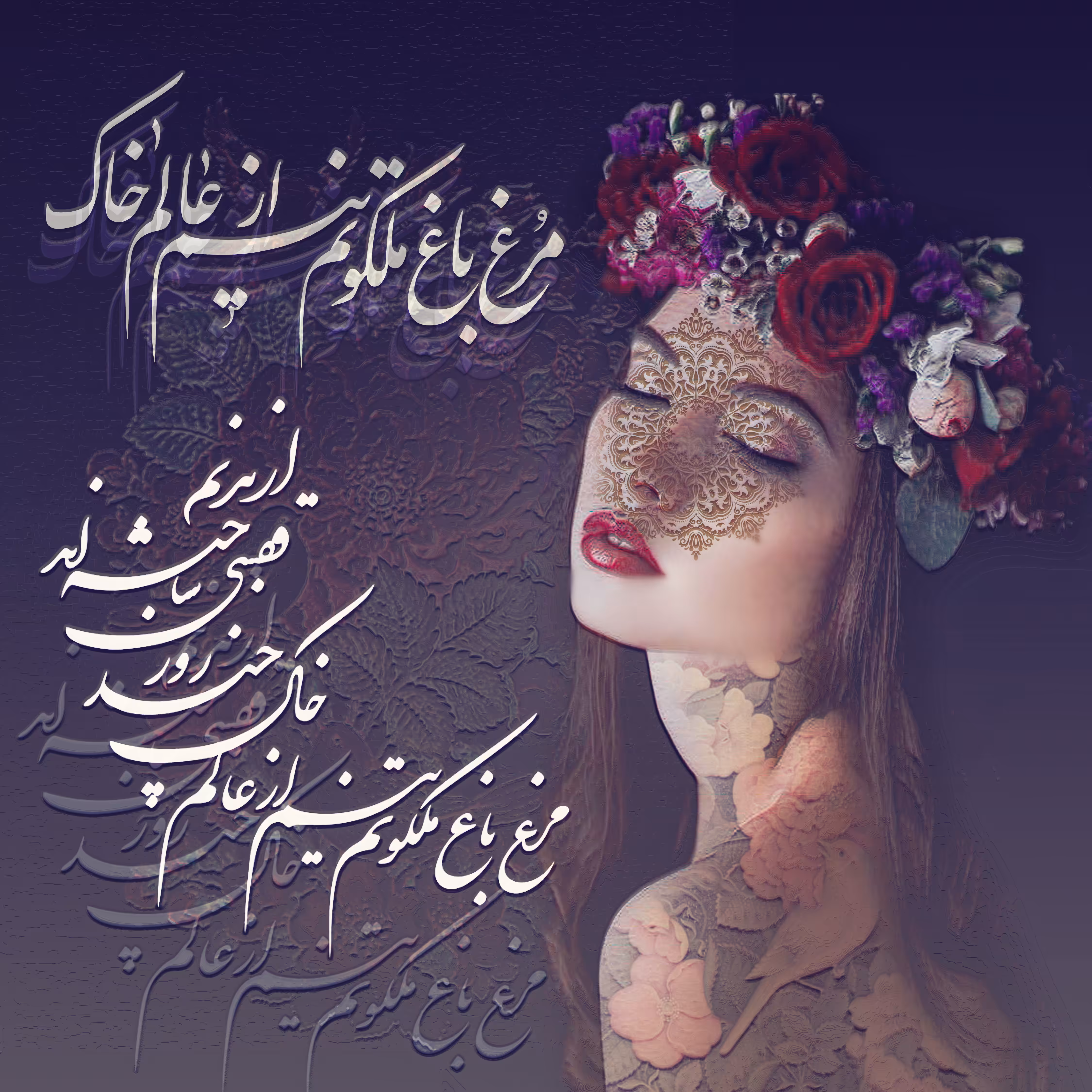 Lady