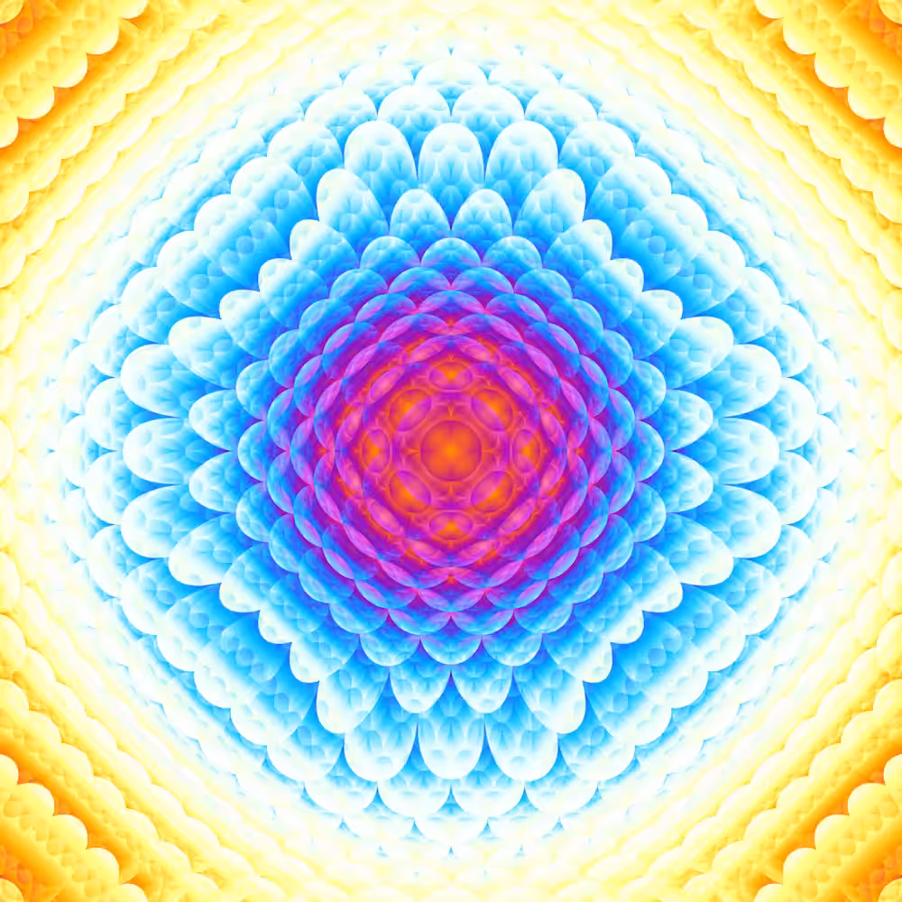 Bloom