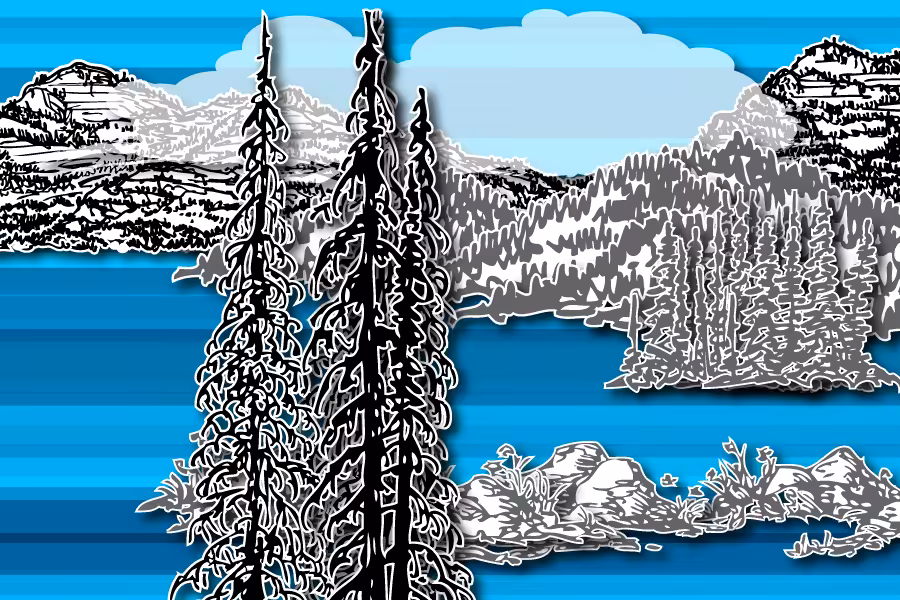 Wild Paper Road #2