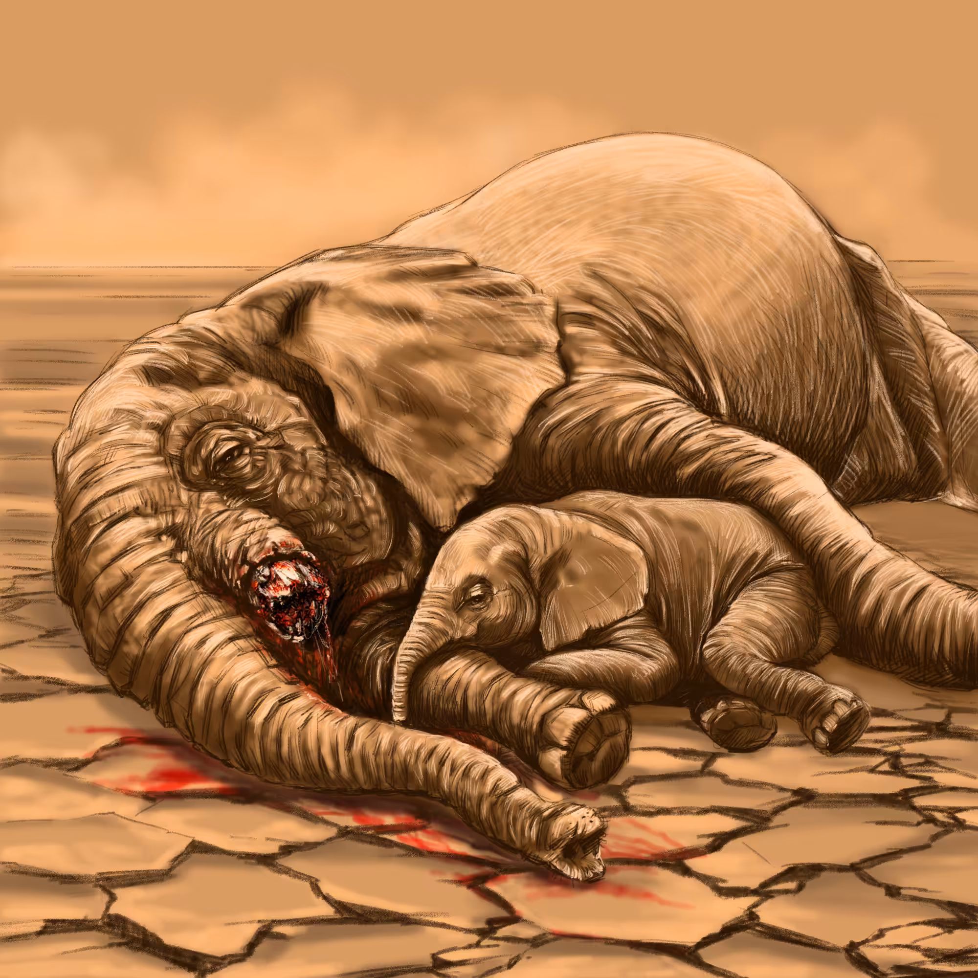 Do not cut my mother's tusk