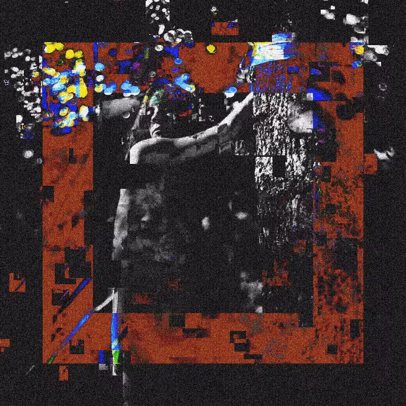 In the forest #14