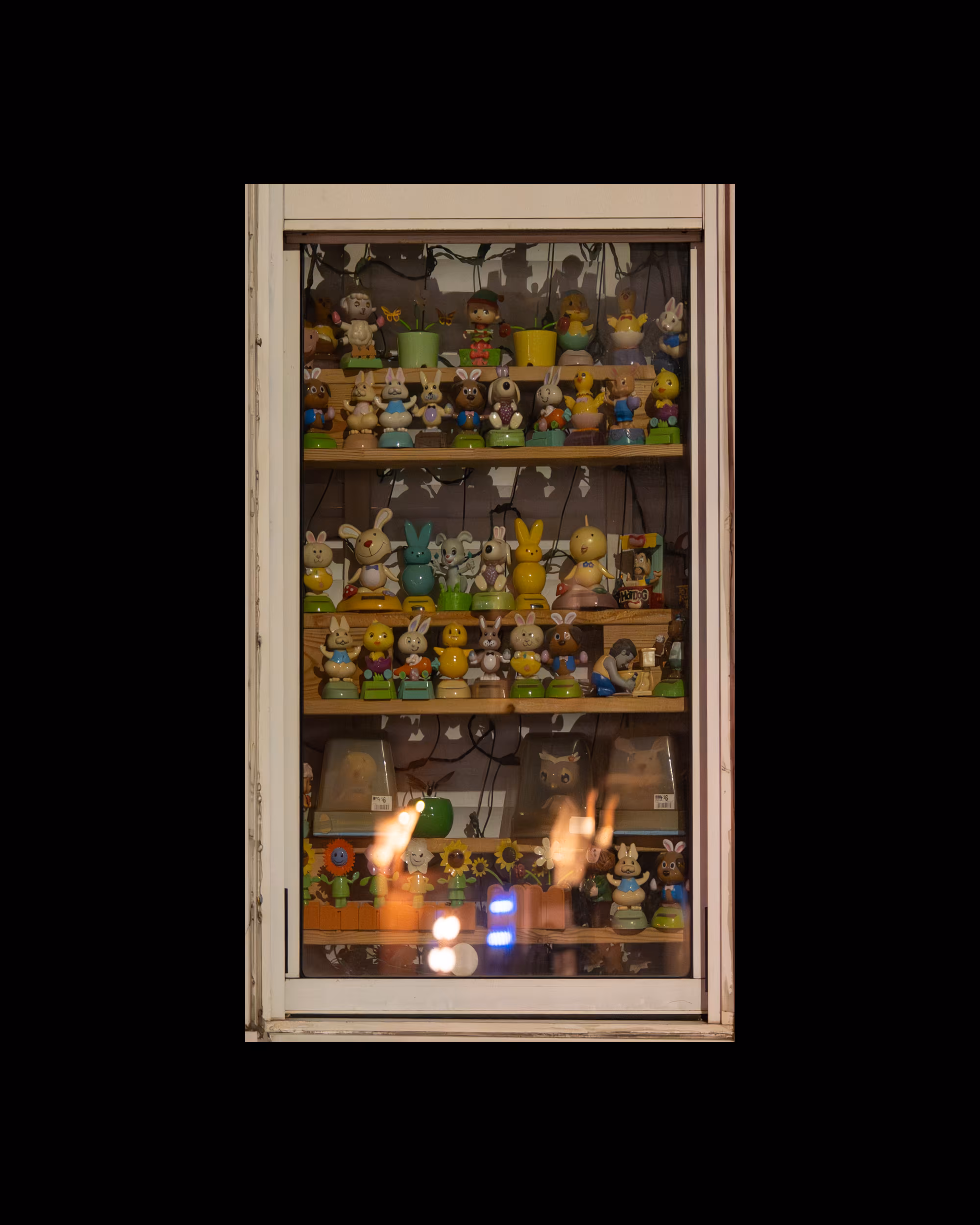 WINDOWS // NYC: WINDOW 383