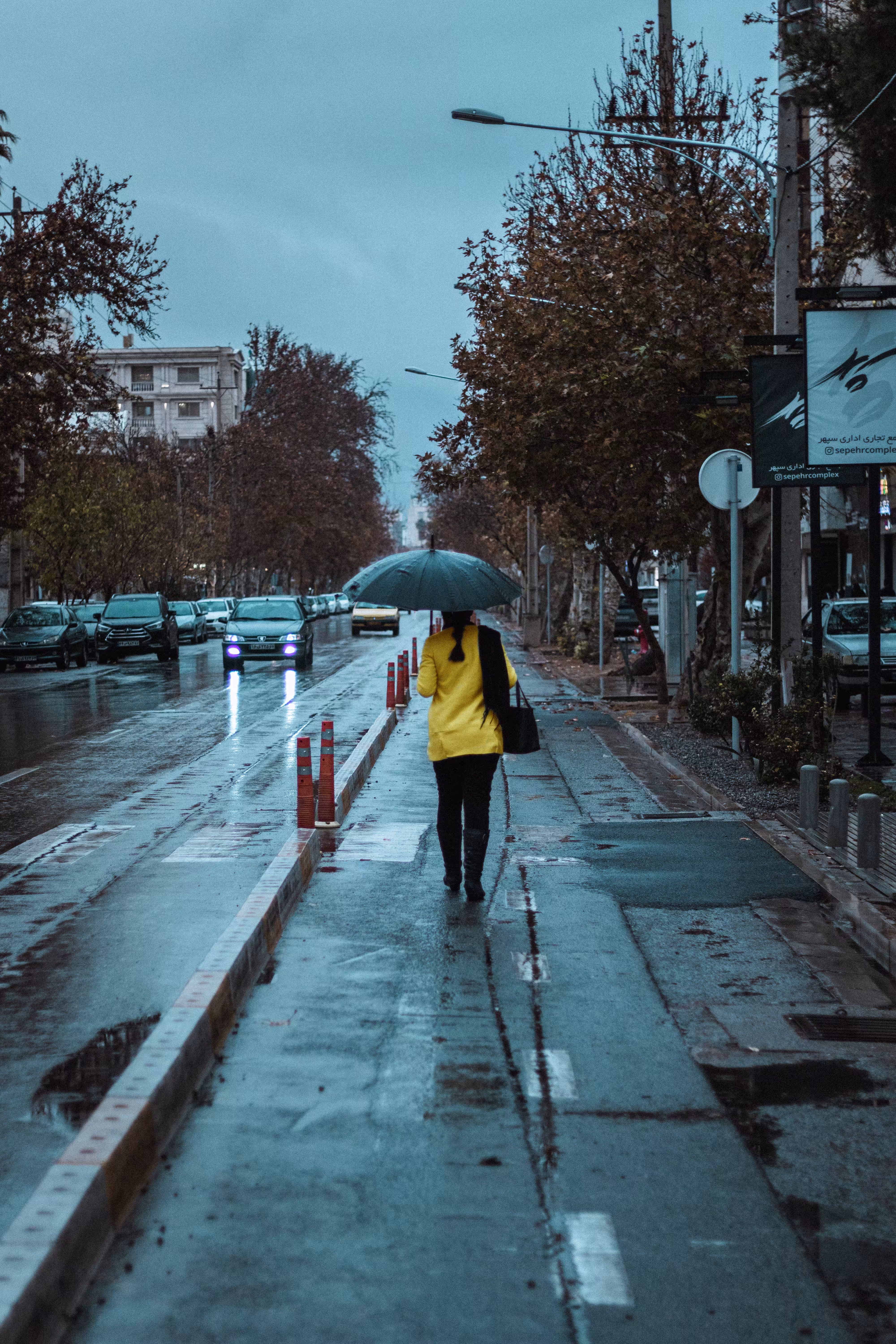 Walking on the road #3