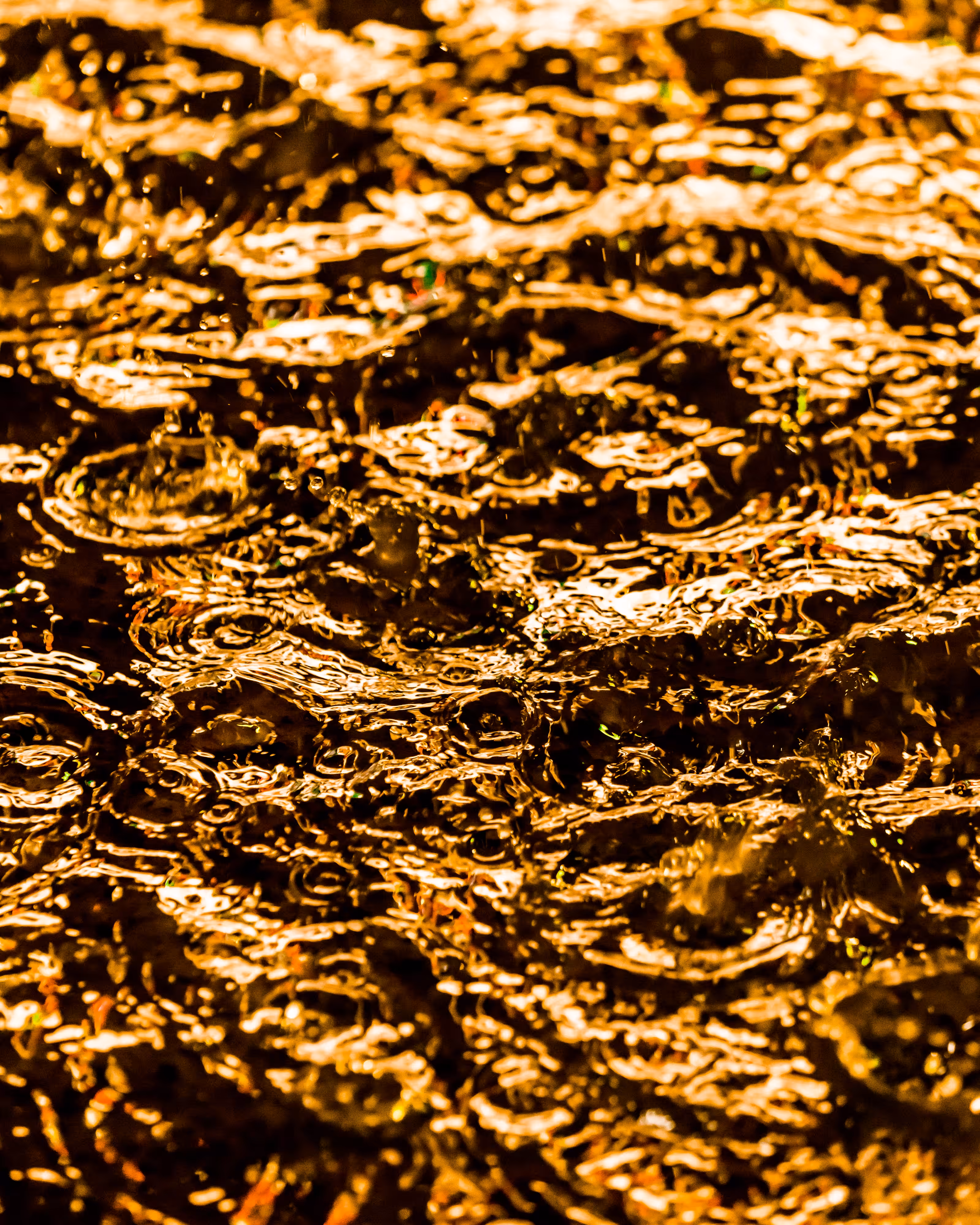 DRIP #893