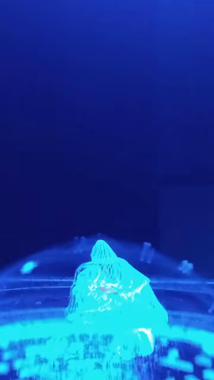 white electric wizard ~ I activate in order to enchant bonding receptivity I seal the output of timelessness with the electric tone of service I am guided by the power of endlessness