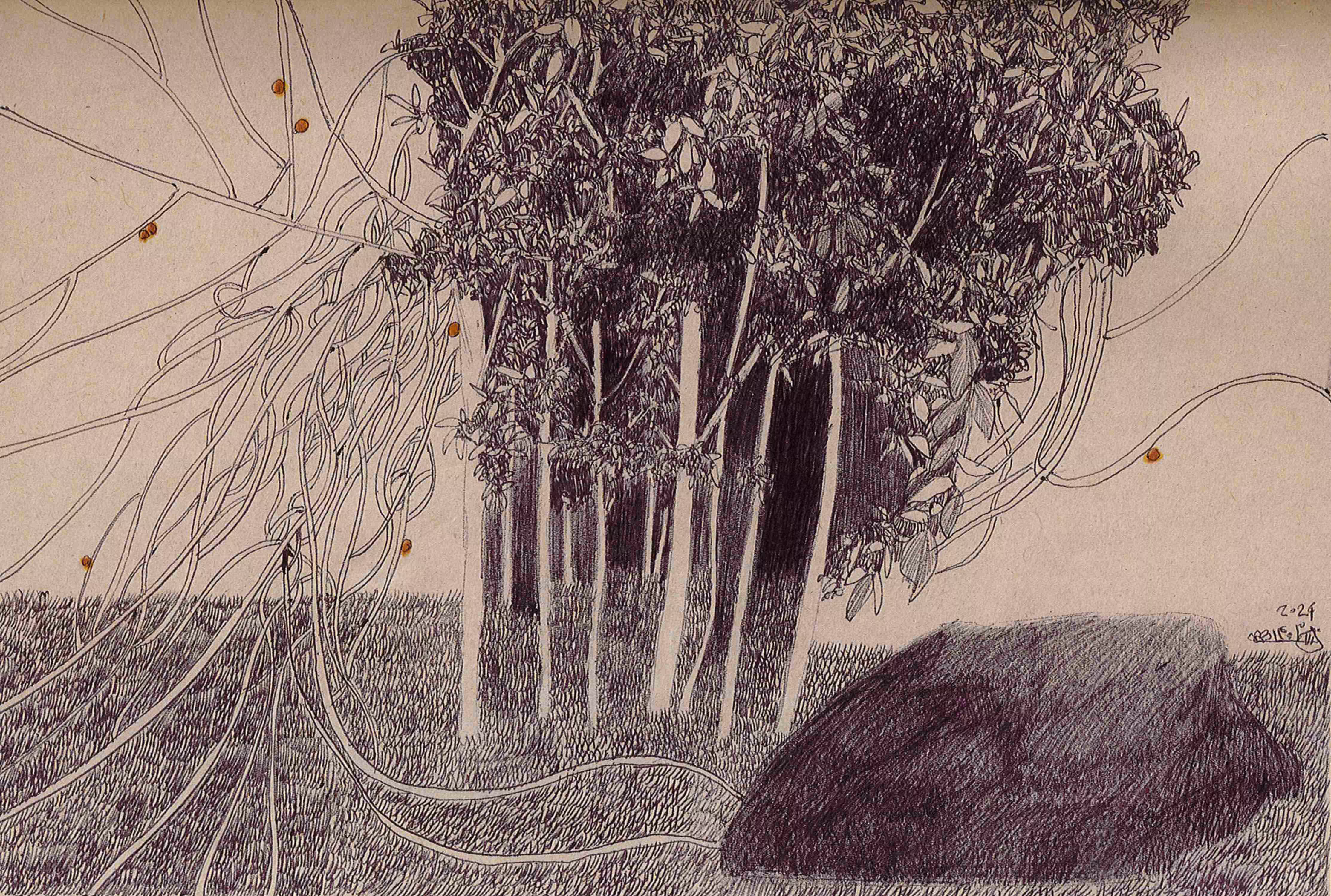 Orange trees #4