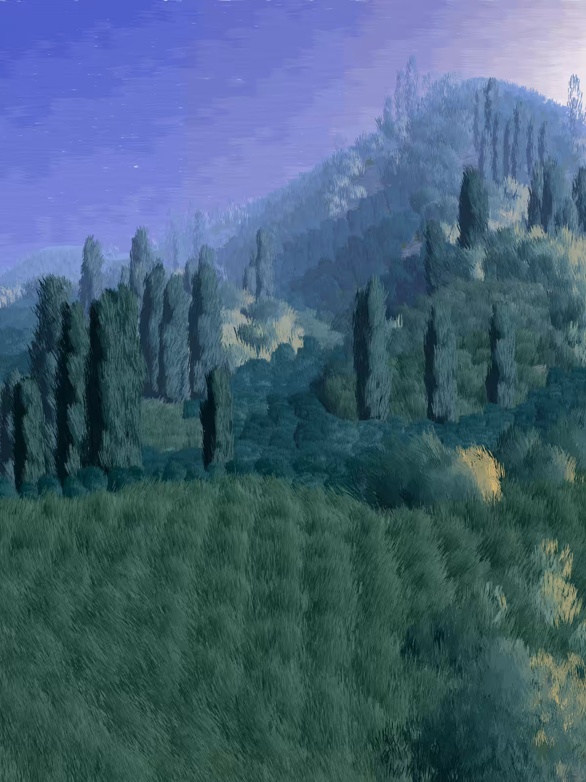 Provence #374