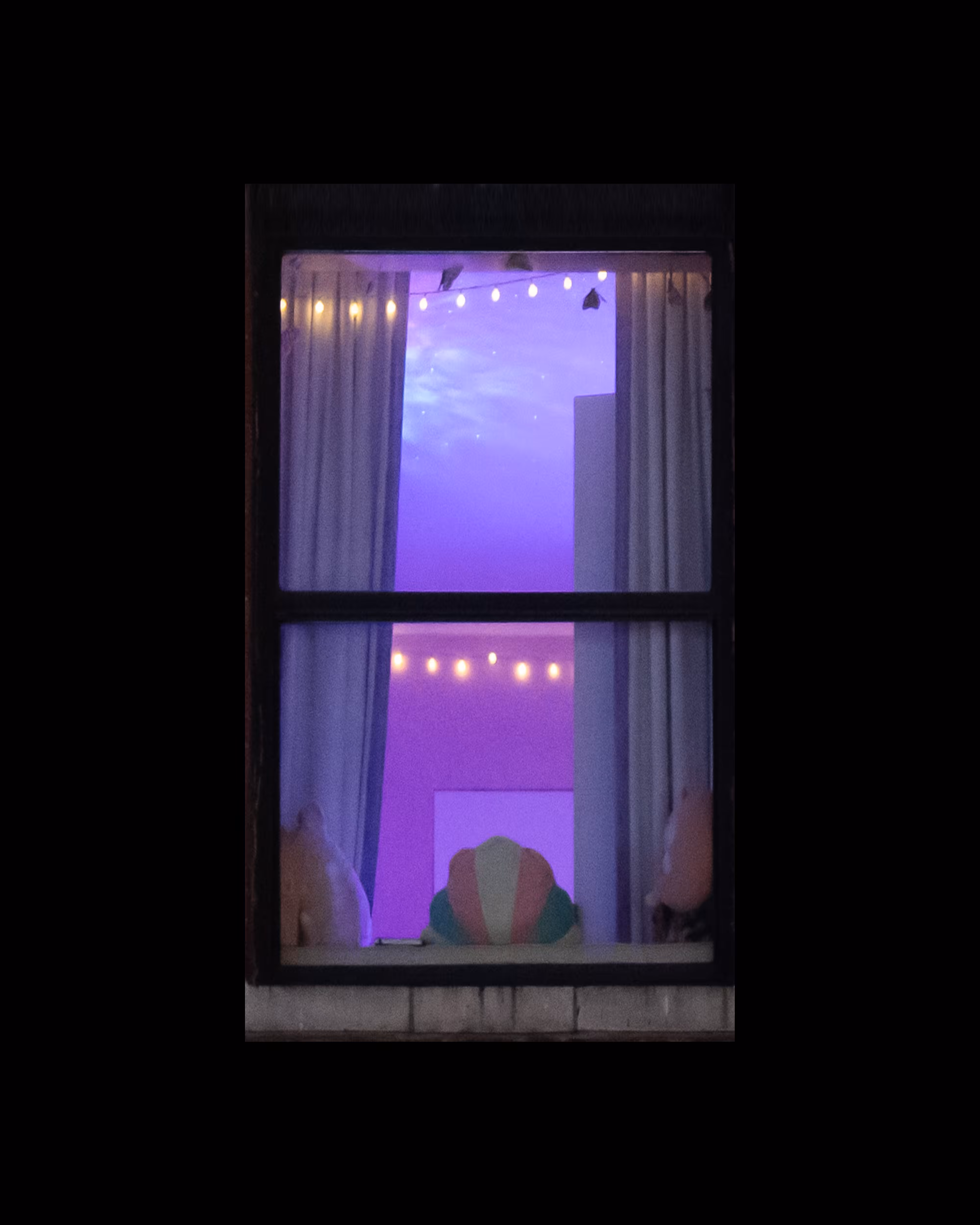 WINDOWS // NYC: WINDOW 312