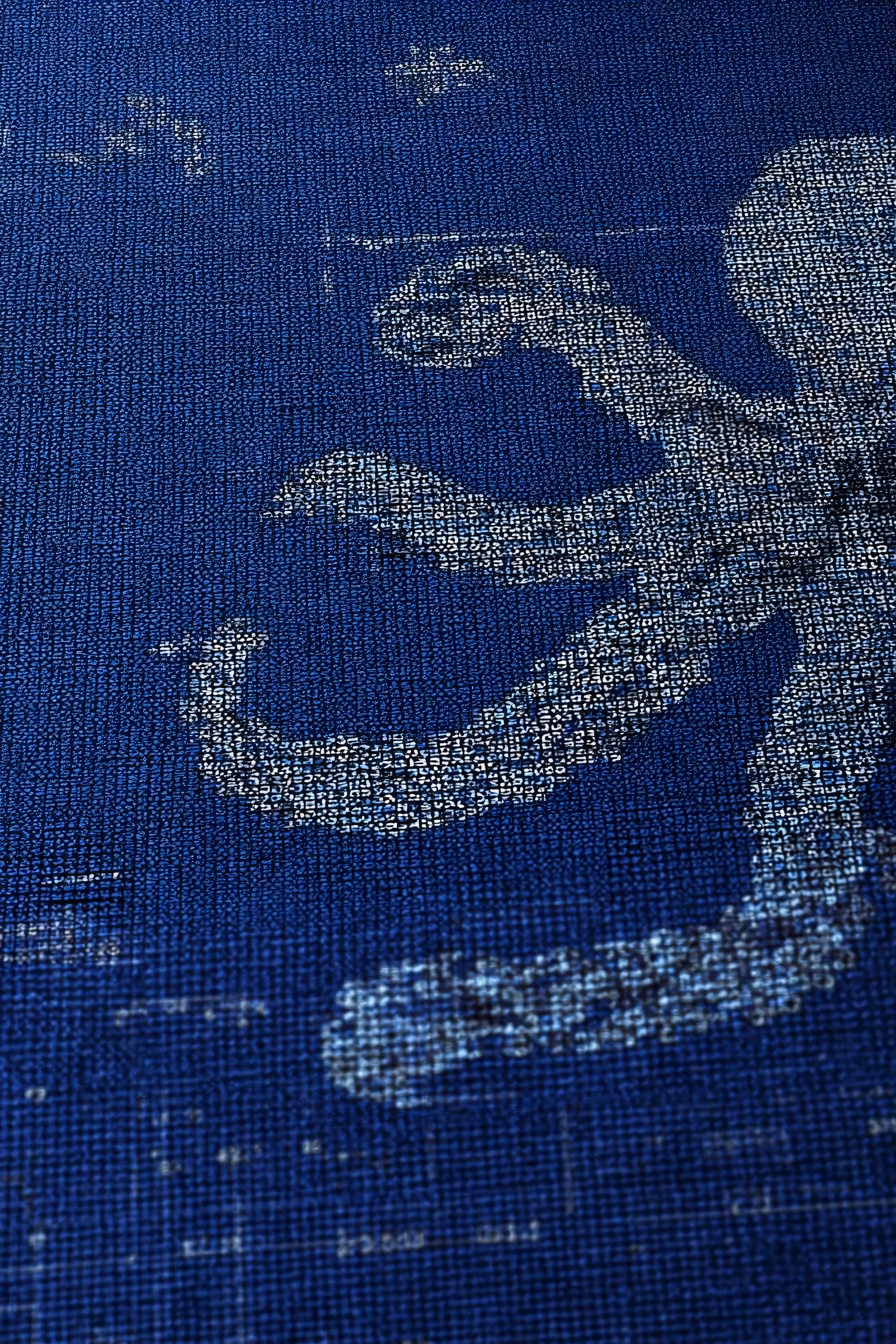 Octopus.exe #3