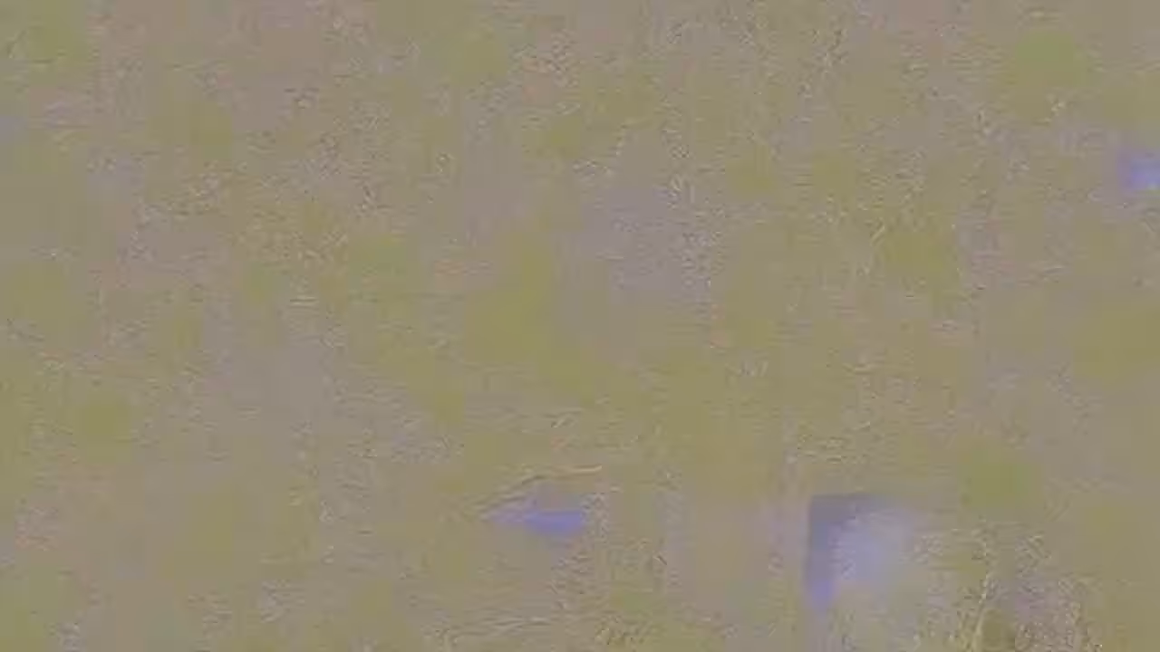 Song A Day: Yogurt Spilled On My Pants
