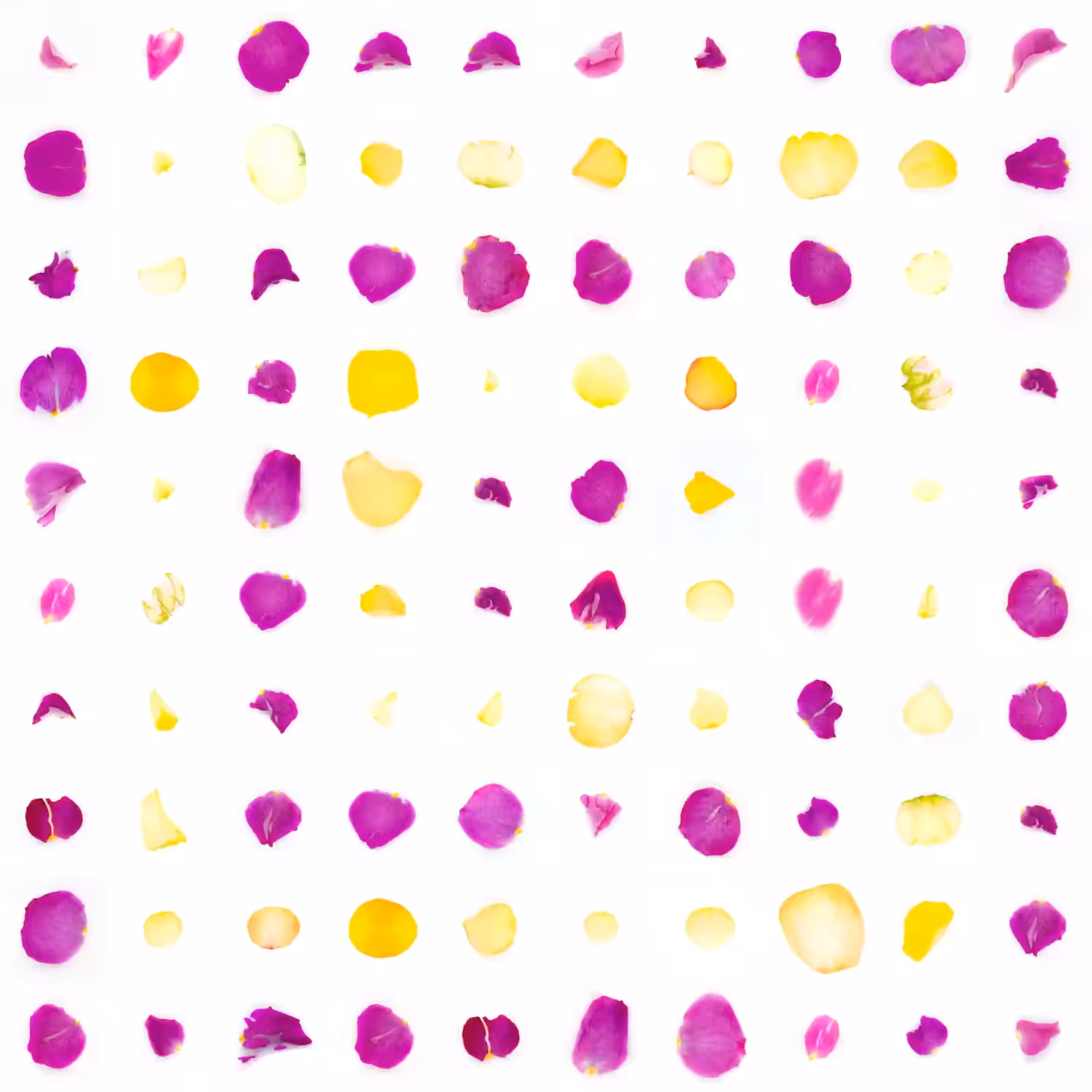 Infinite Petals 10x10#2026