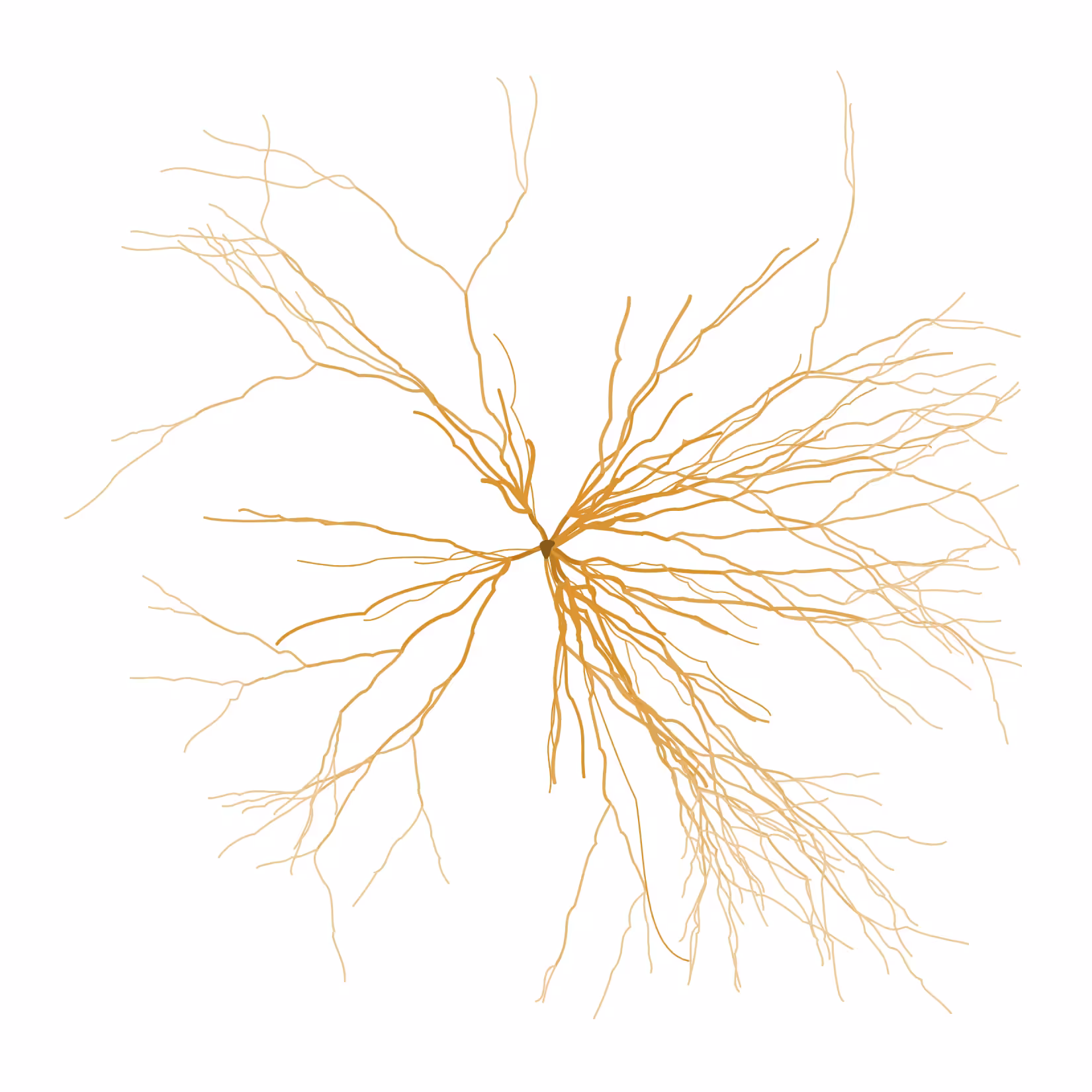 Ghost Forest Seedling #3
