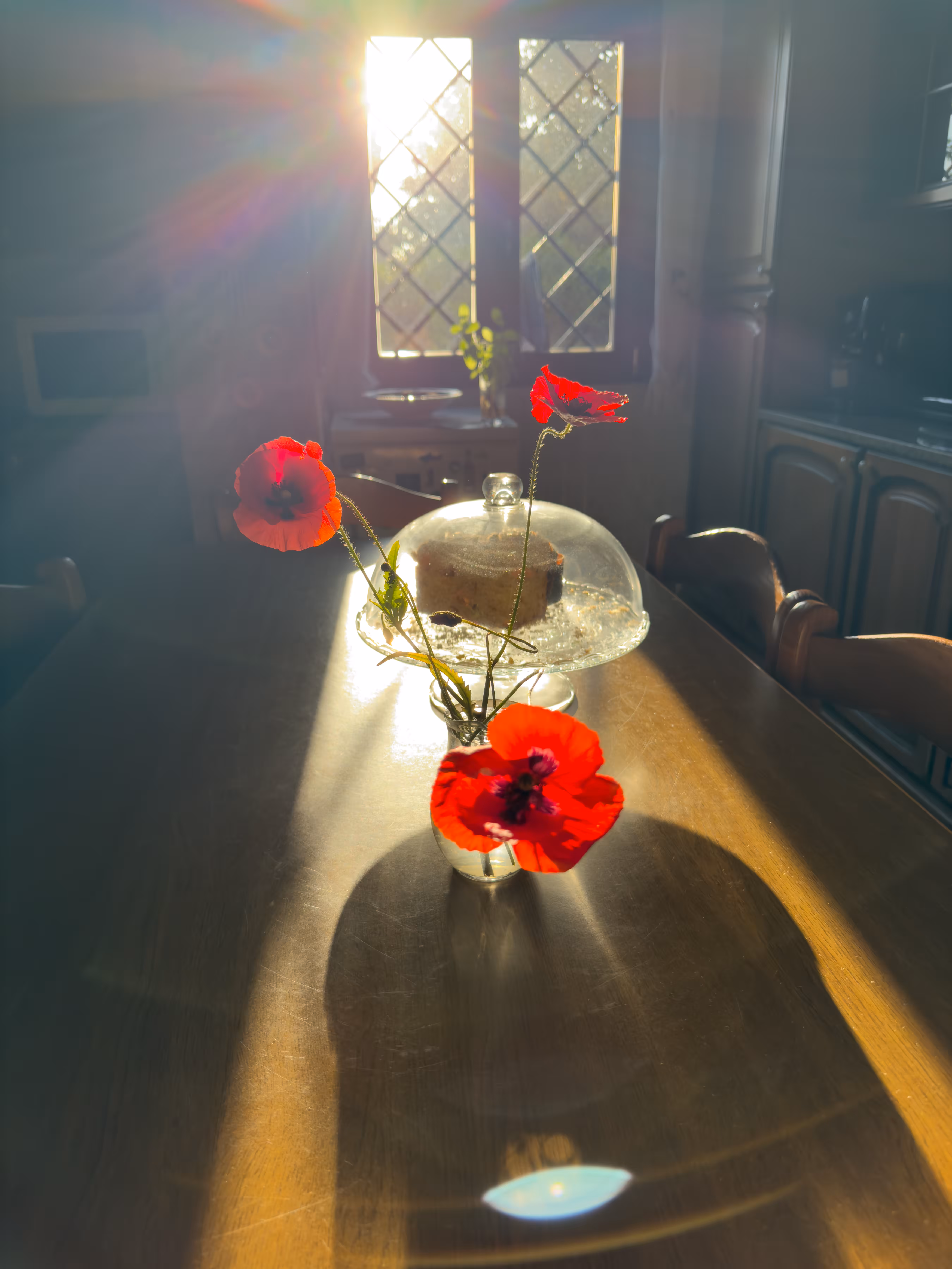 Ephemeral Beauty