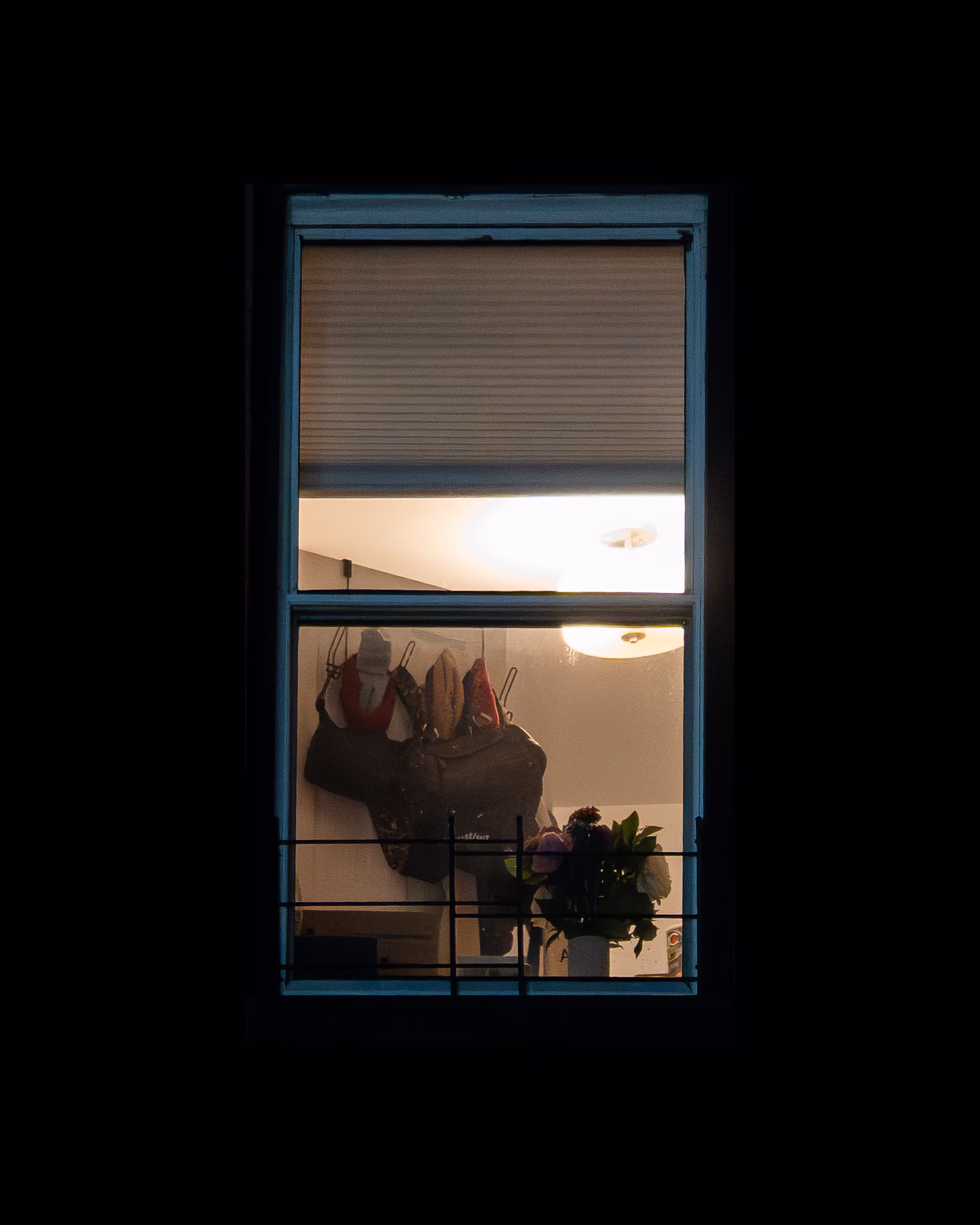 WINDOW 785