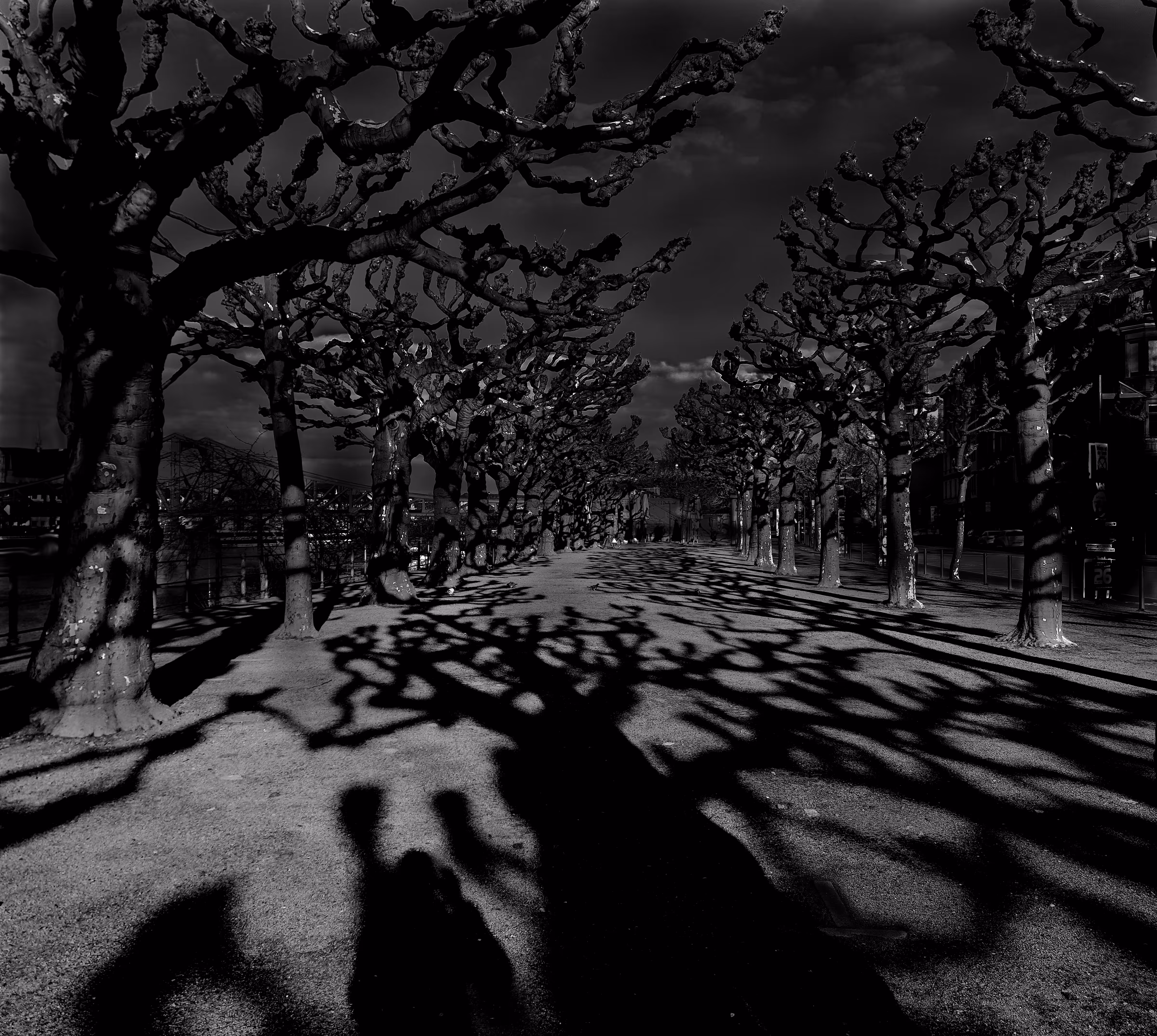 Path Of Fear