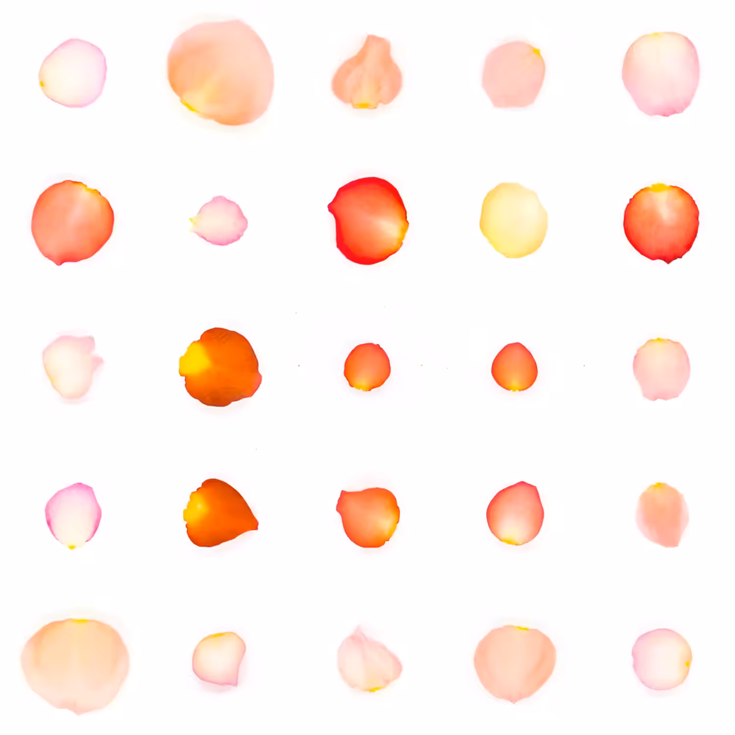 Infinite Petals 5x5#20662