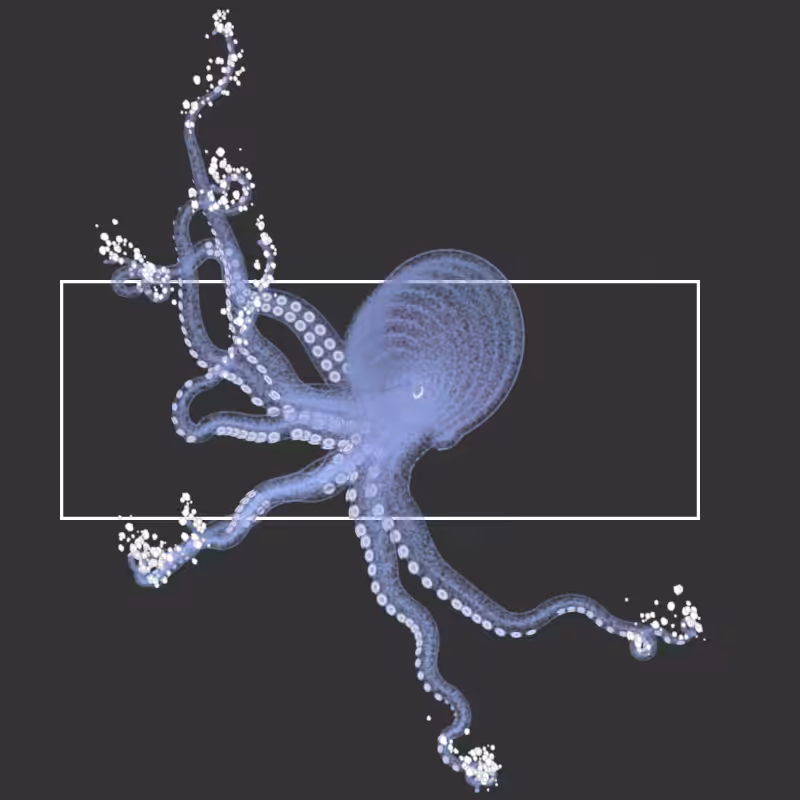 the generative octopuses #85