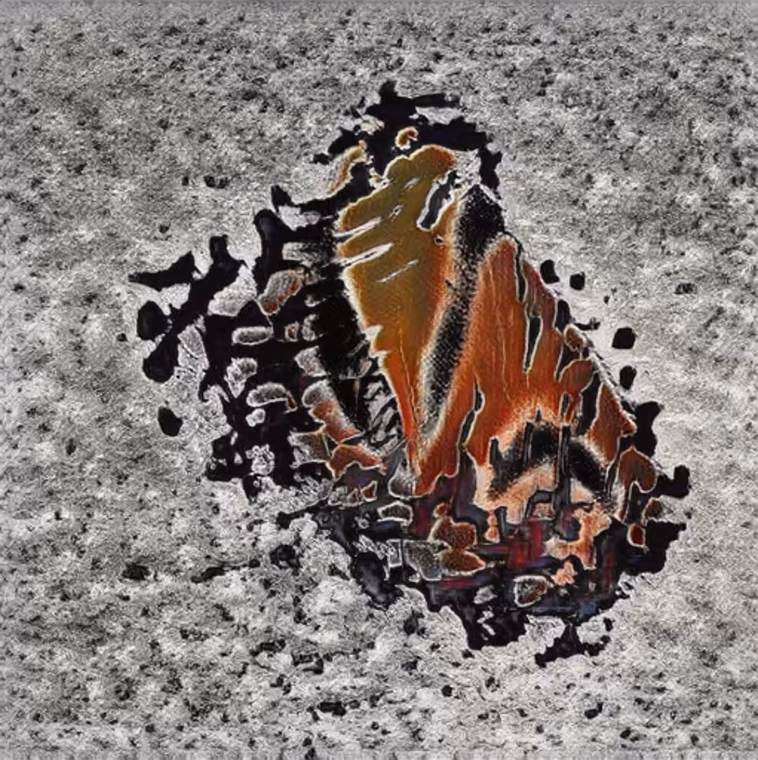 Broken wing
