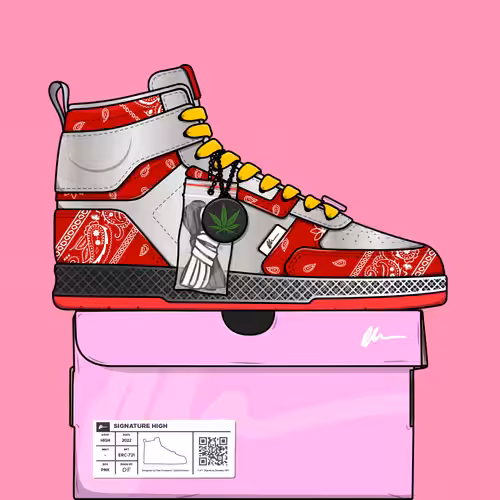 Signature Sneakers Highs #95