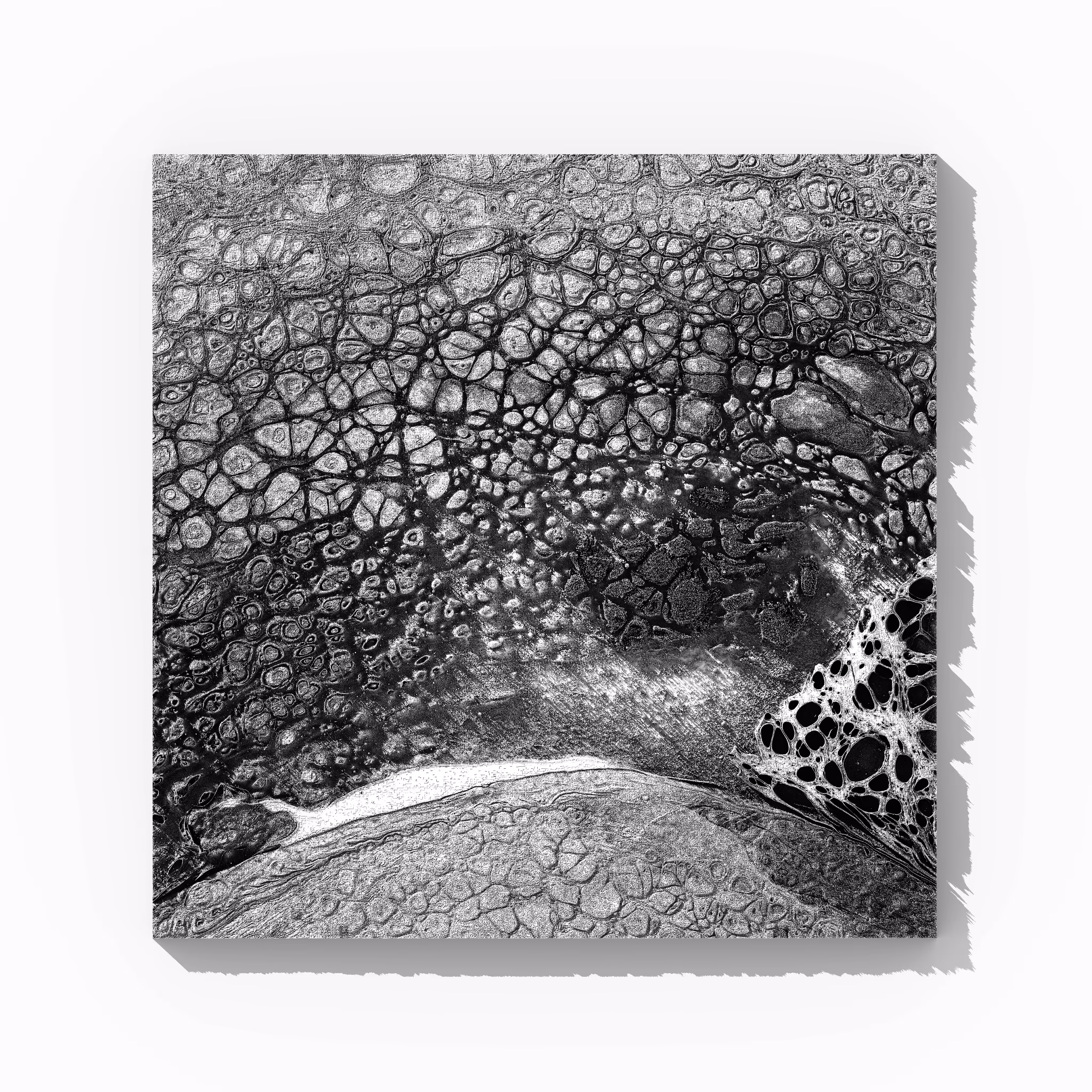 Terra Timoris