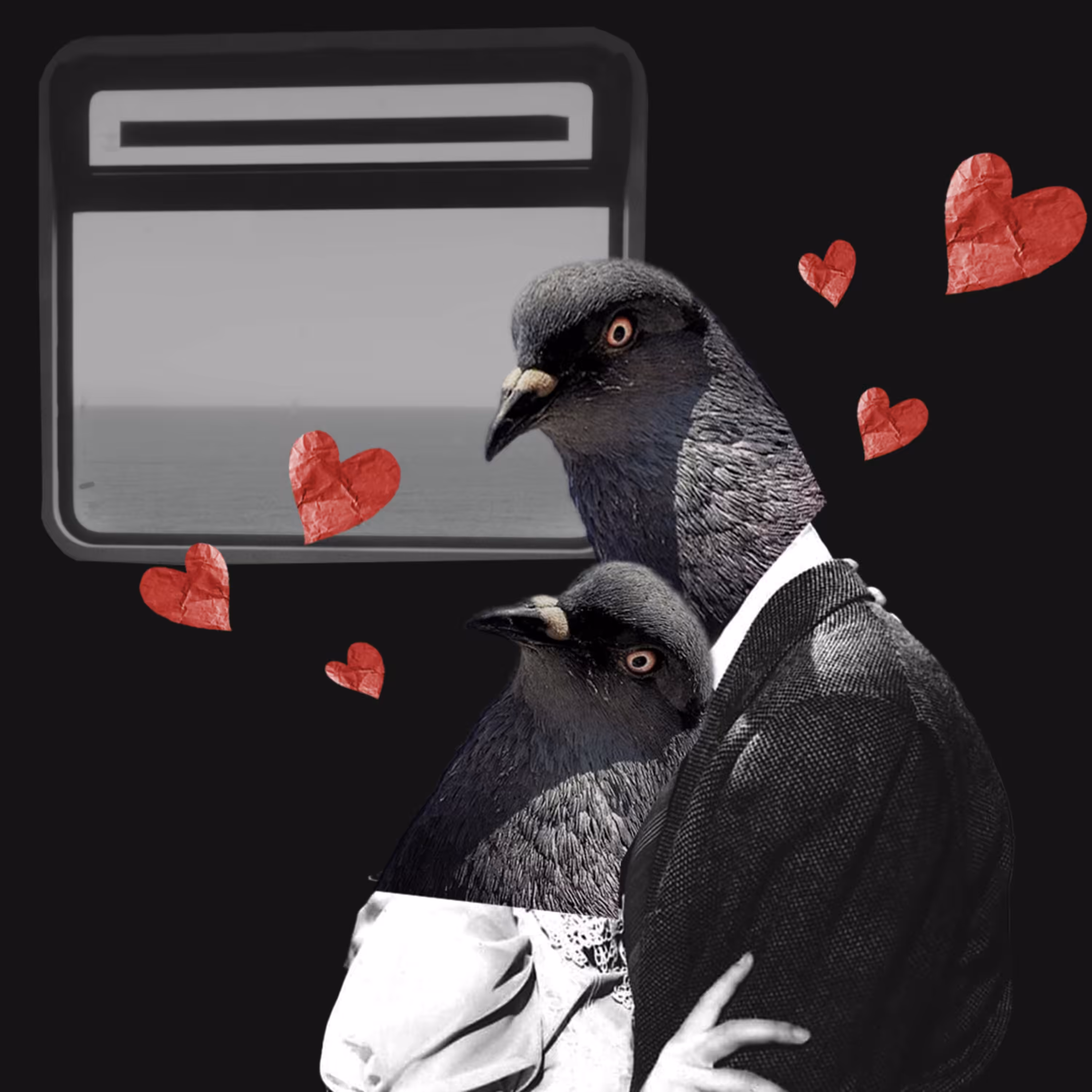 Love Birds