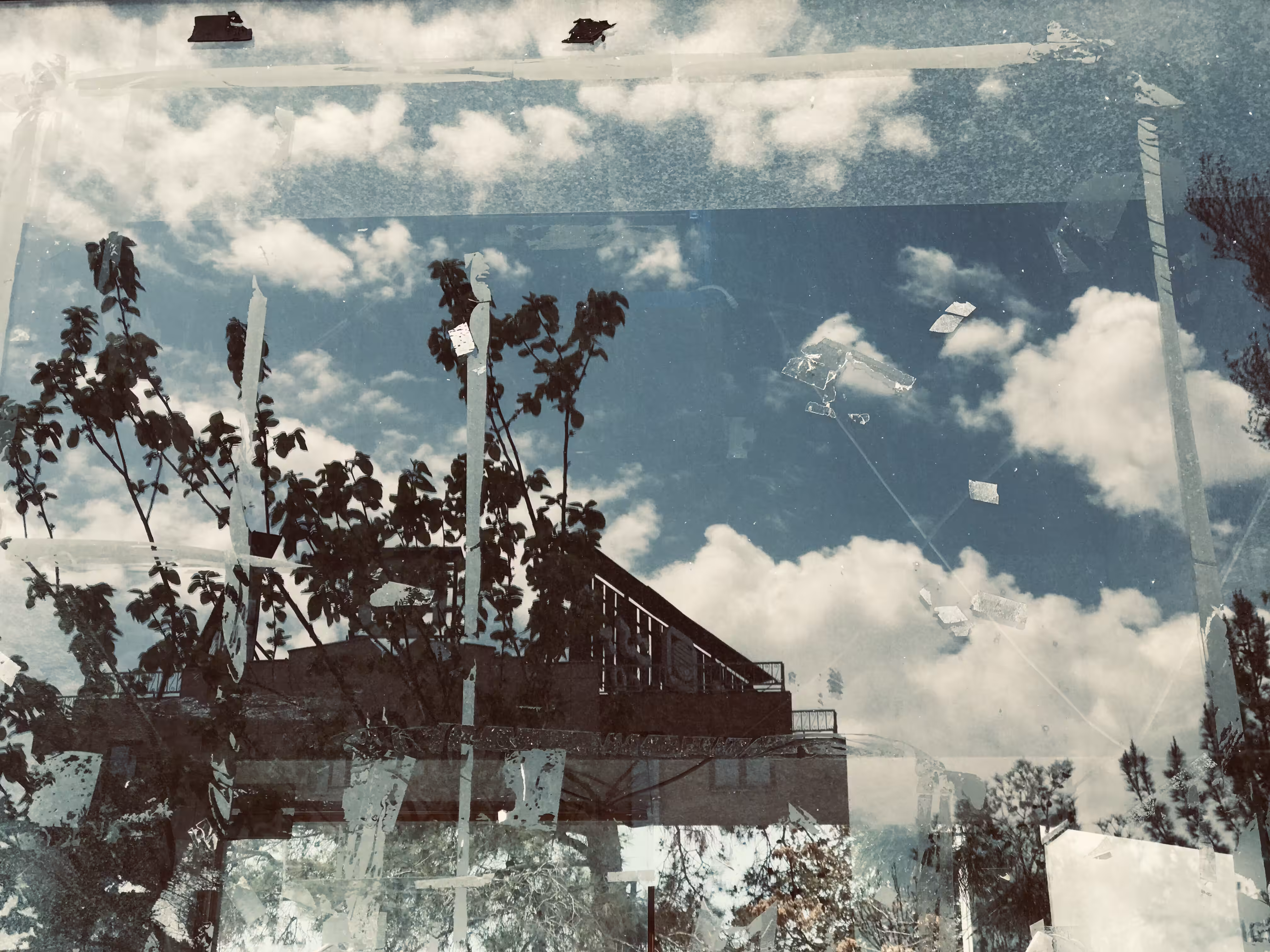 Natural collage