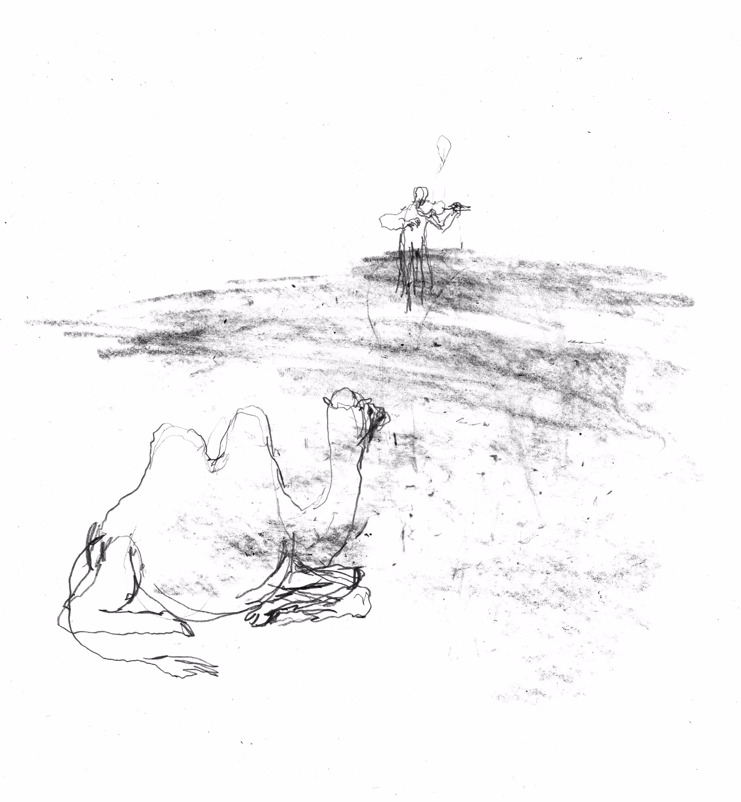 song for a camel