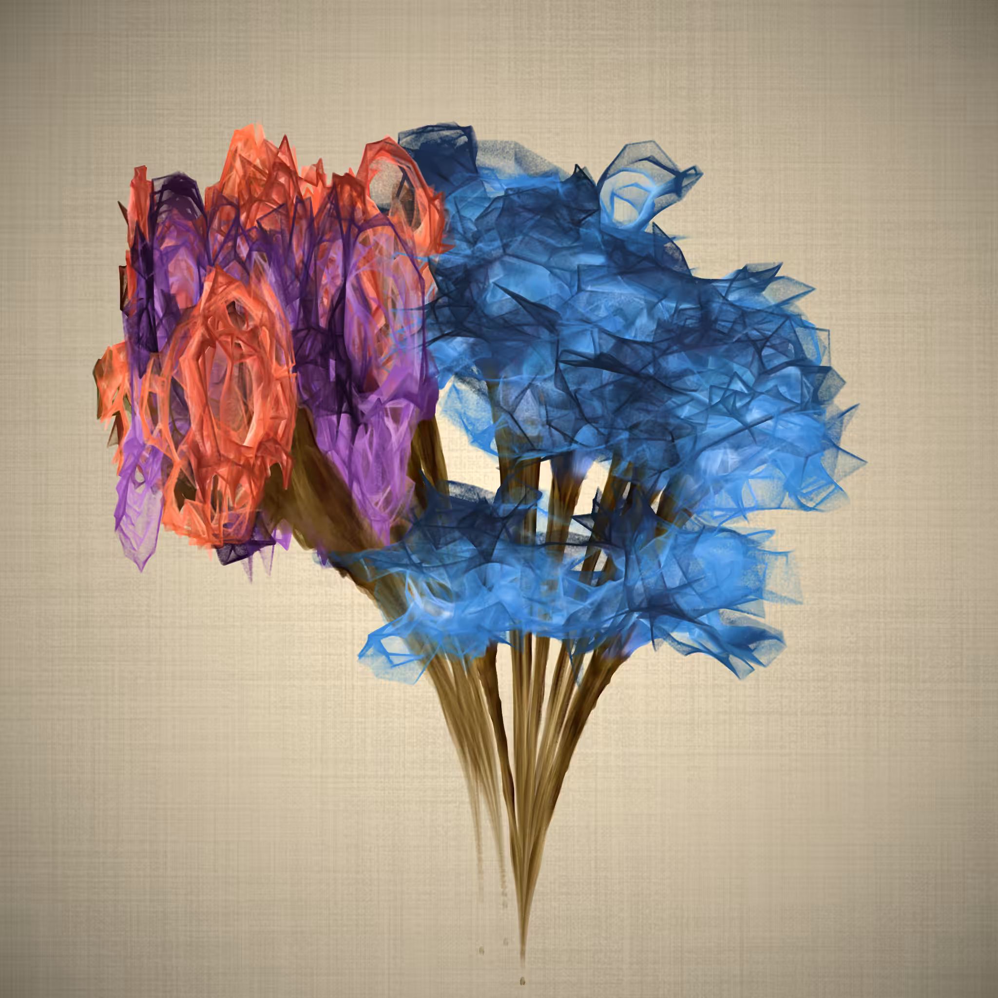 lilium #14