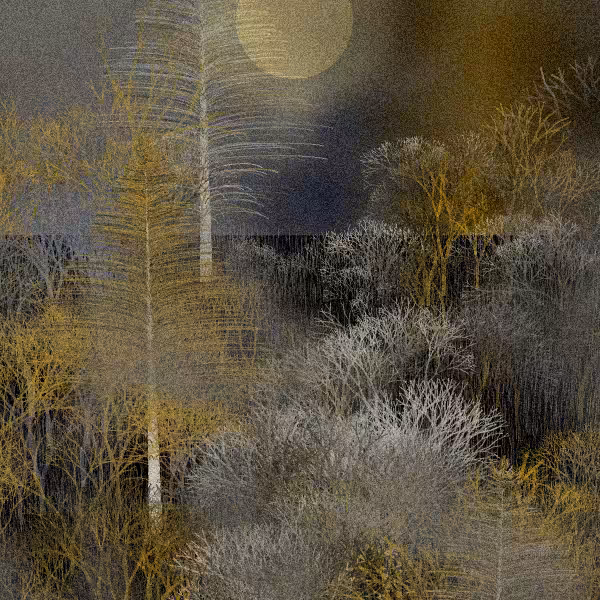 Moonlit Native Bush #68