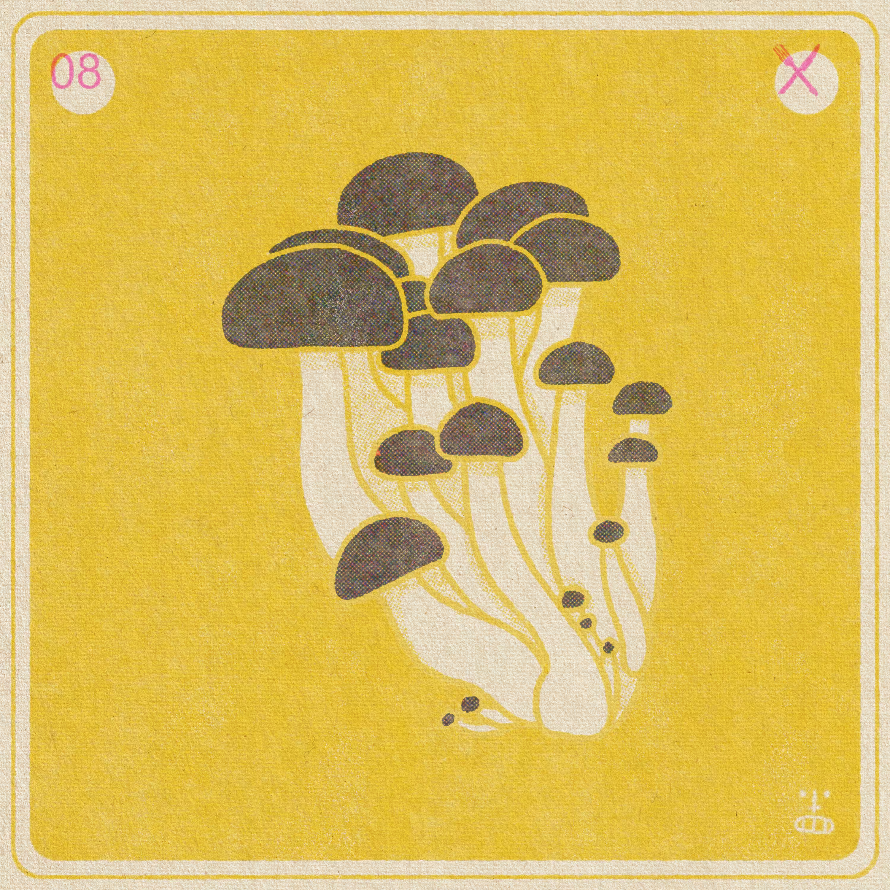 8- Hypsizygus tessellatus (Beech Mushroom /  Buna Shimeji)