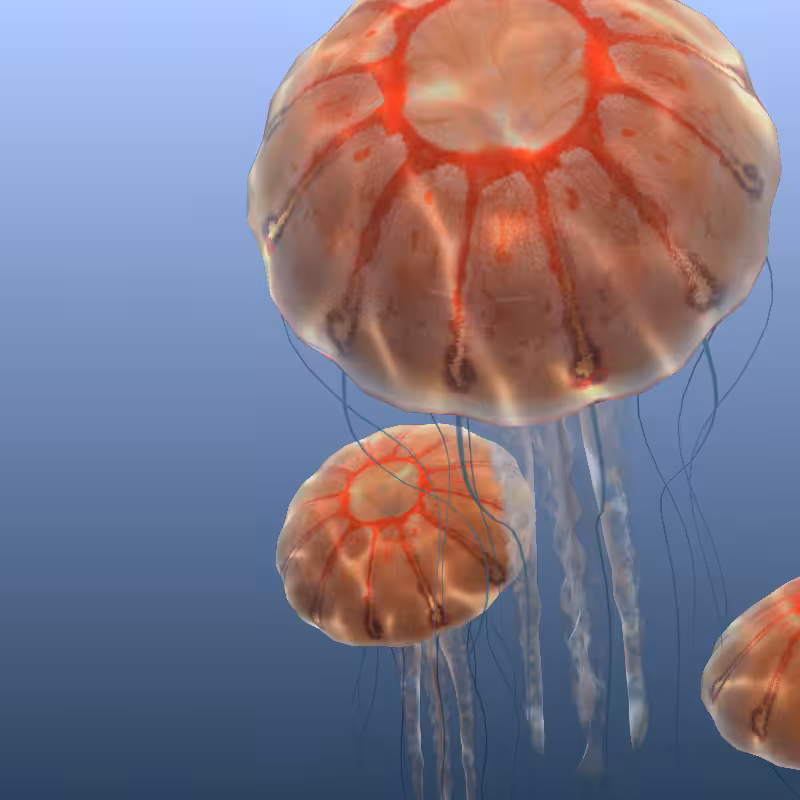Jellyfish #58
