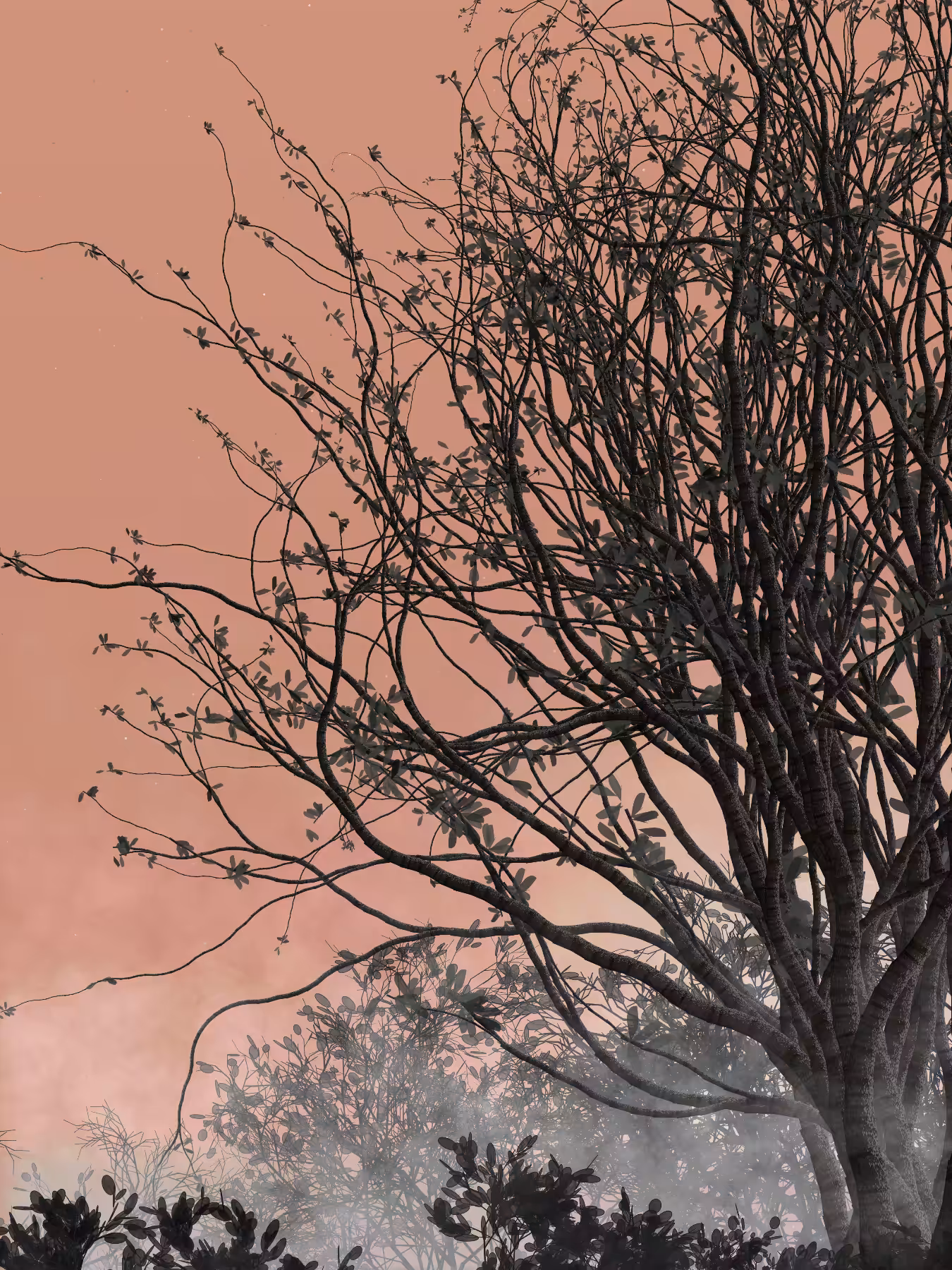 Morning Mist #143