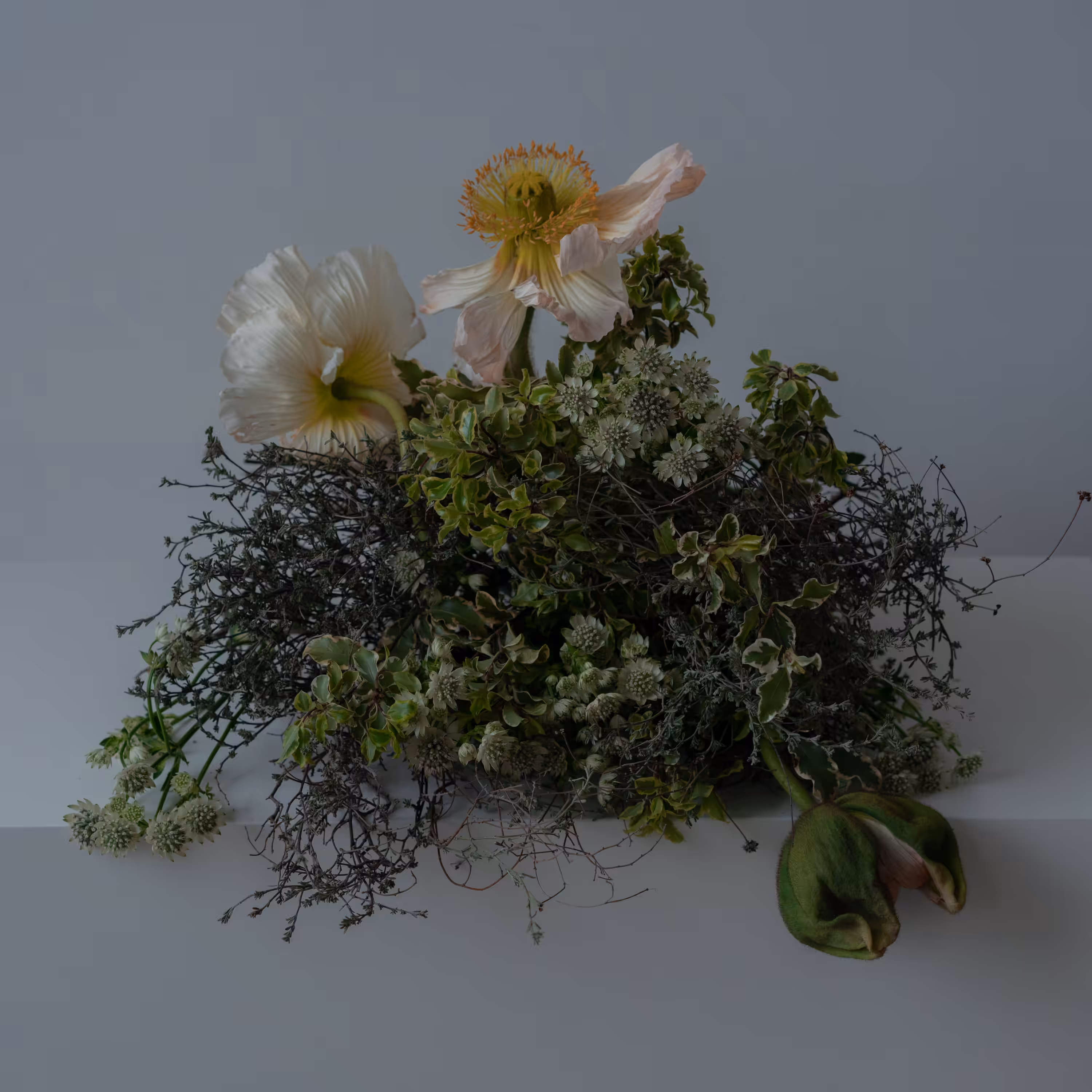 Bouquet with Great Masterwort and Iceland Poppies