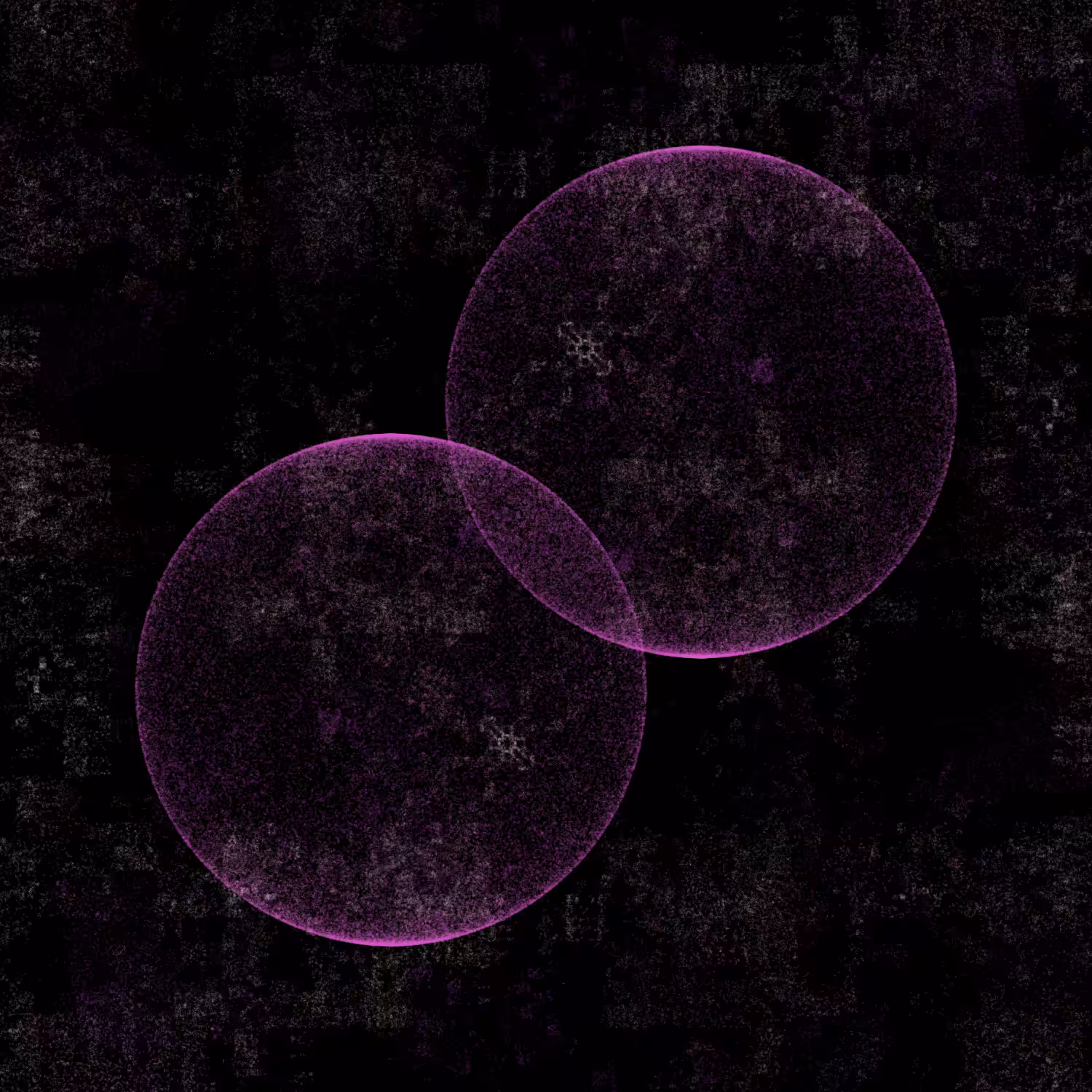 Rhumb #34