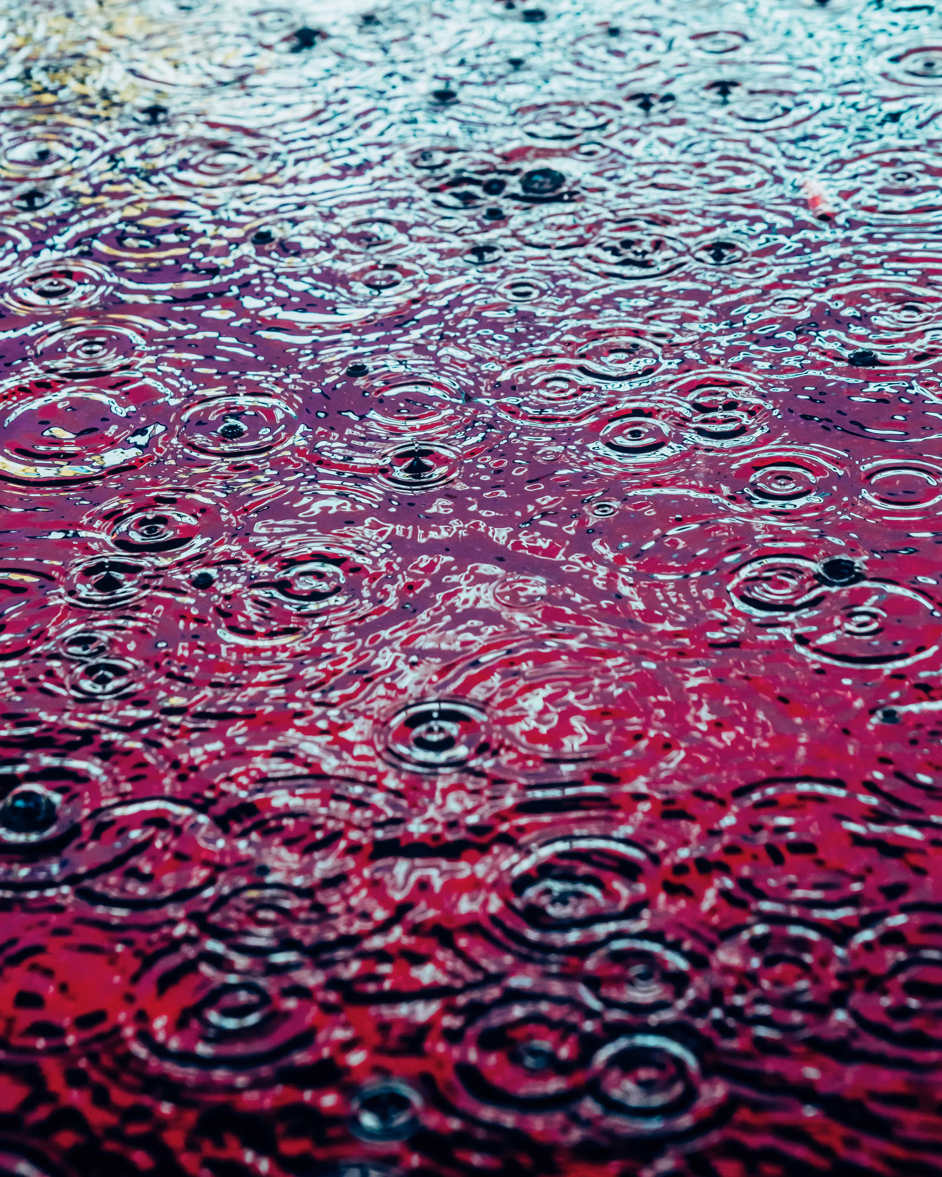 DRIP DROP: DRIP #336