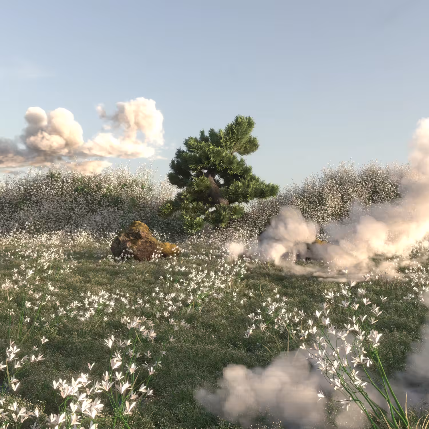 Breeze