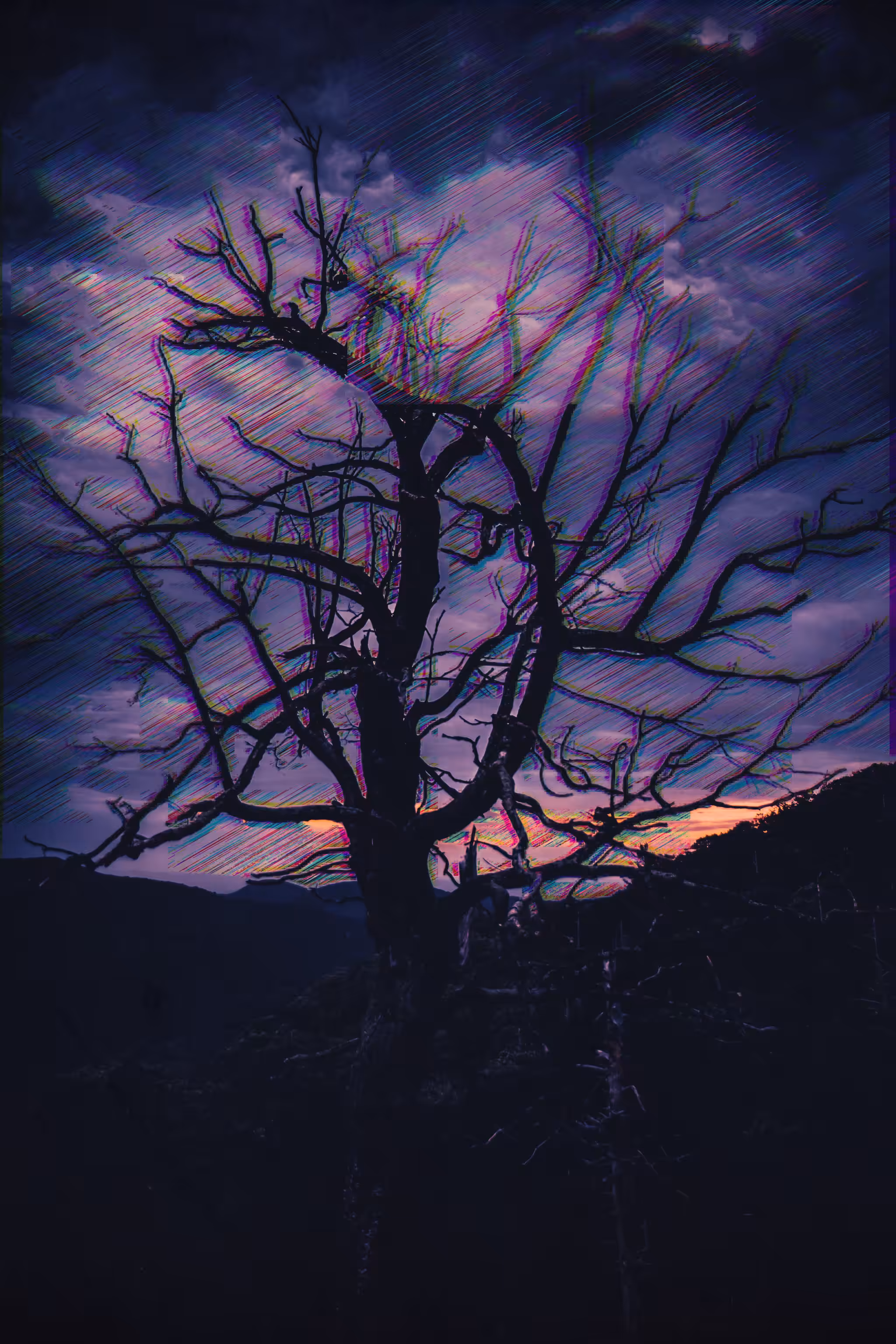 ~The Season Of The Witch~