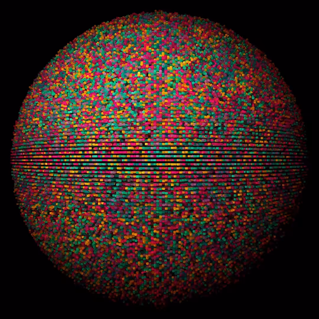 Transposition 4