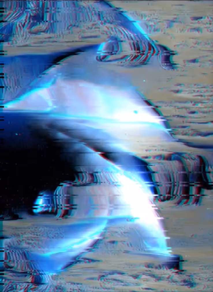 Whale Space (24/8/2021)
